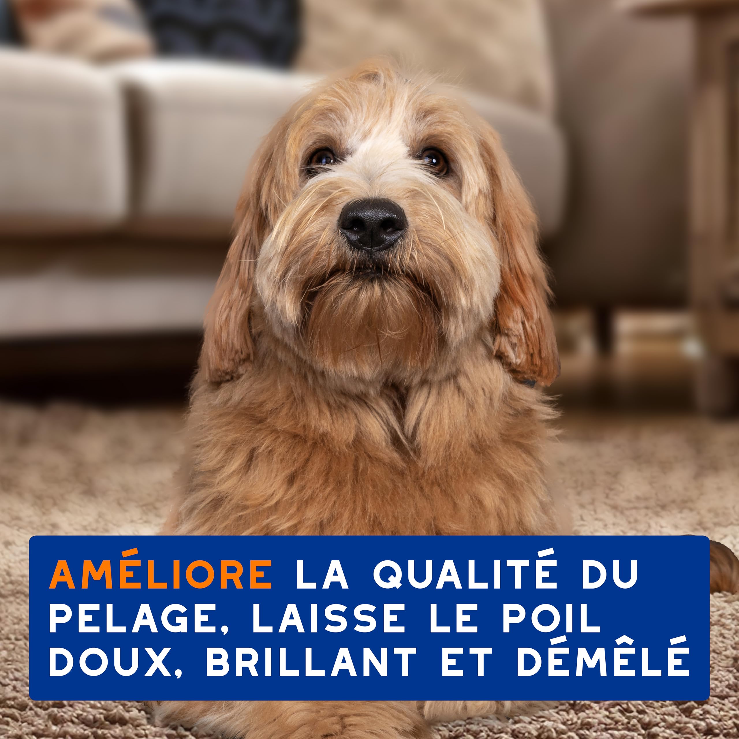 douxo-spa-skin-coat-spa-shampoing-chien-2-en-1-amande-douce image 7