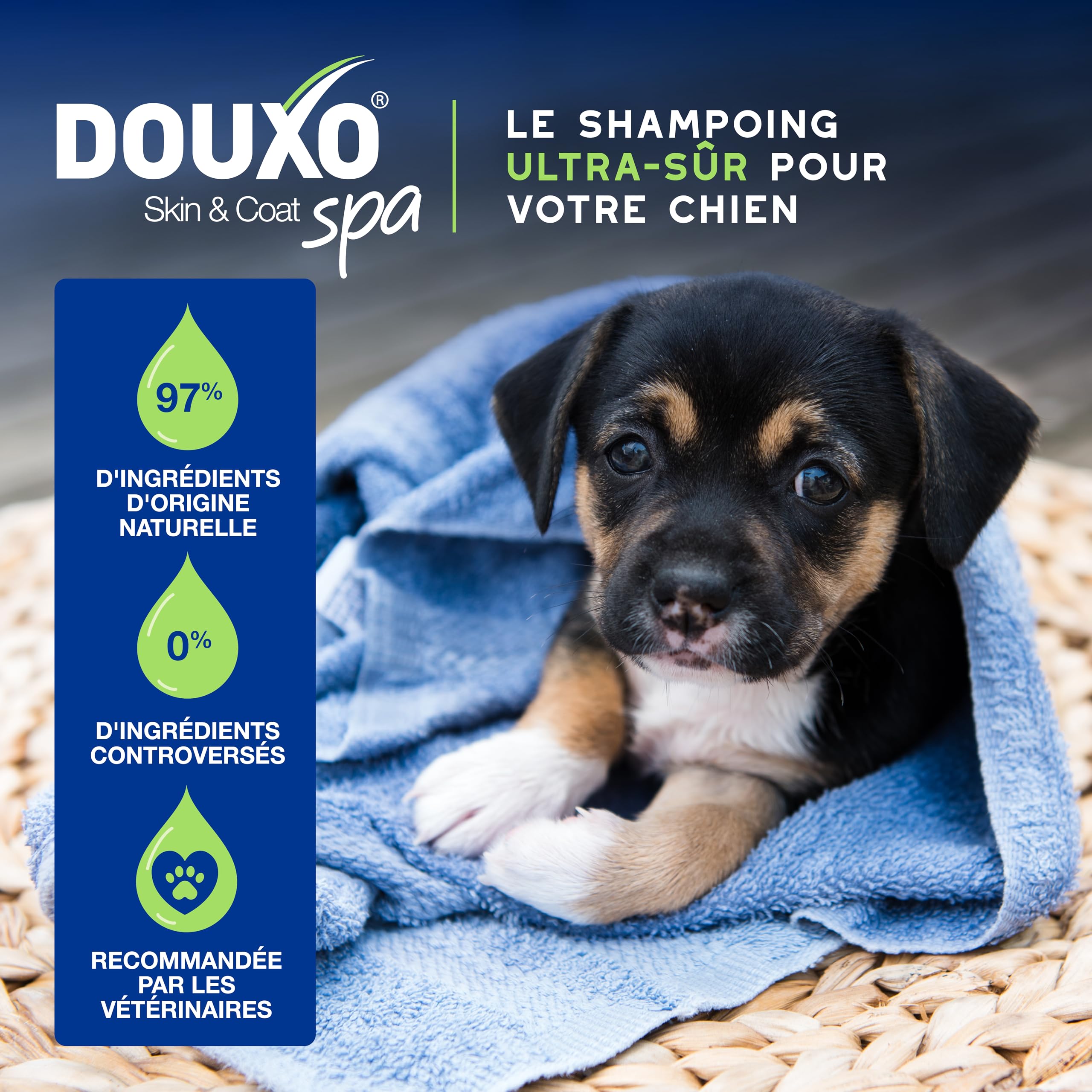 douxo-spa-skin-coat-spa-shampoing-chiot-hypoallerg-nique-pr-biotique image 4
