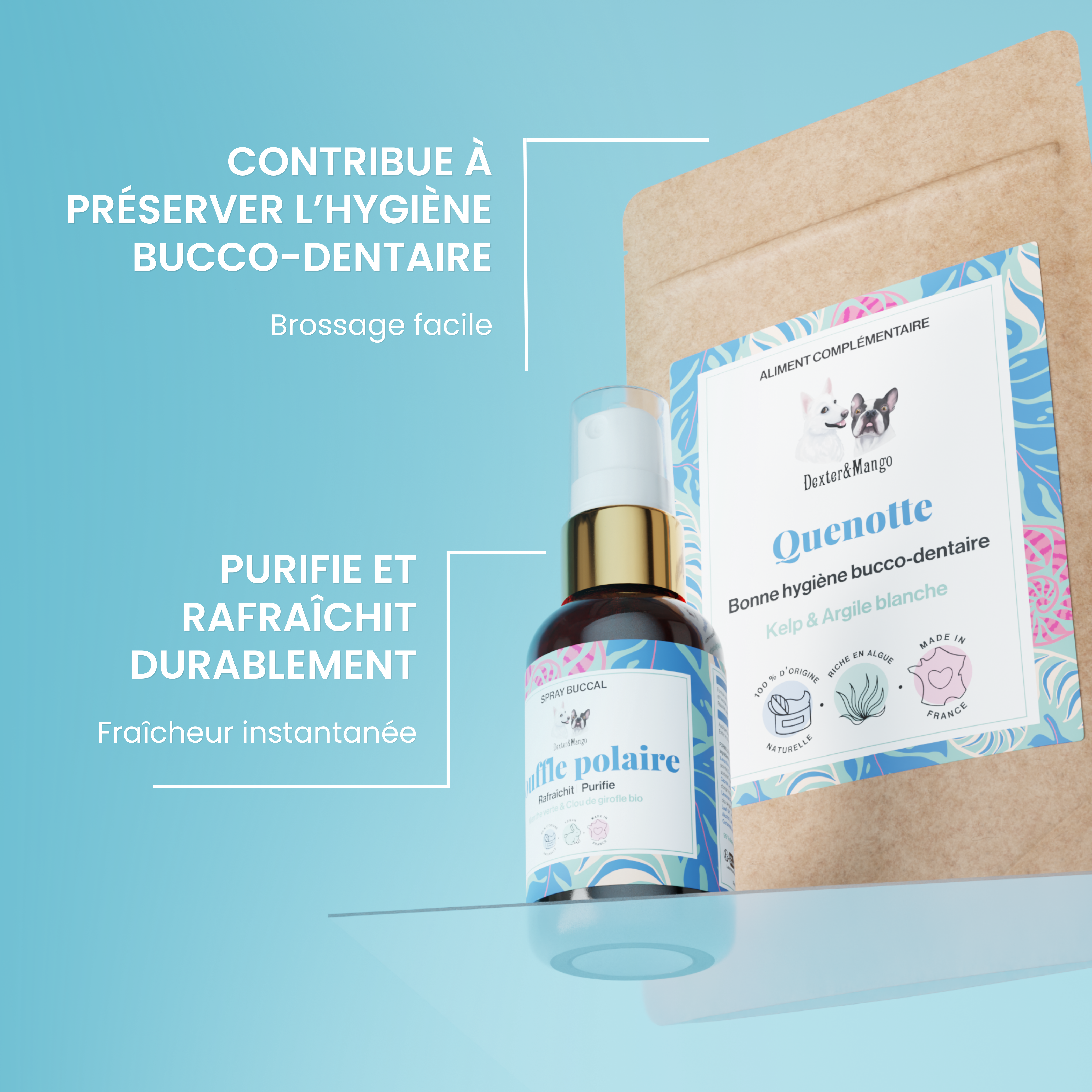 dexter-mango-routine-dentaire-haleine-fra-che-chien image 2