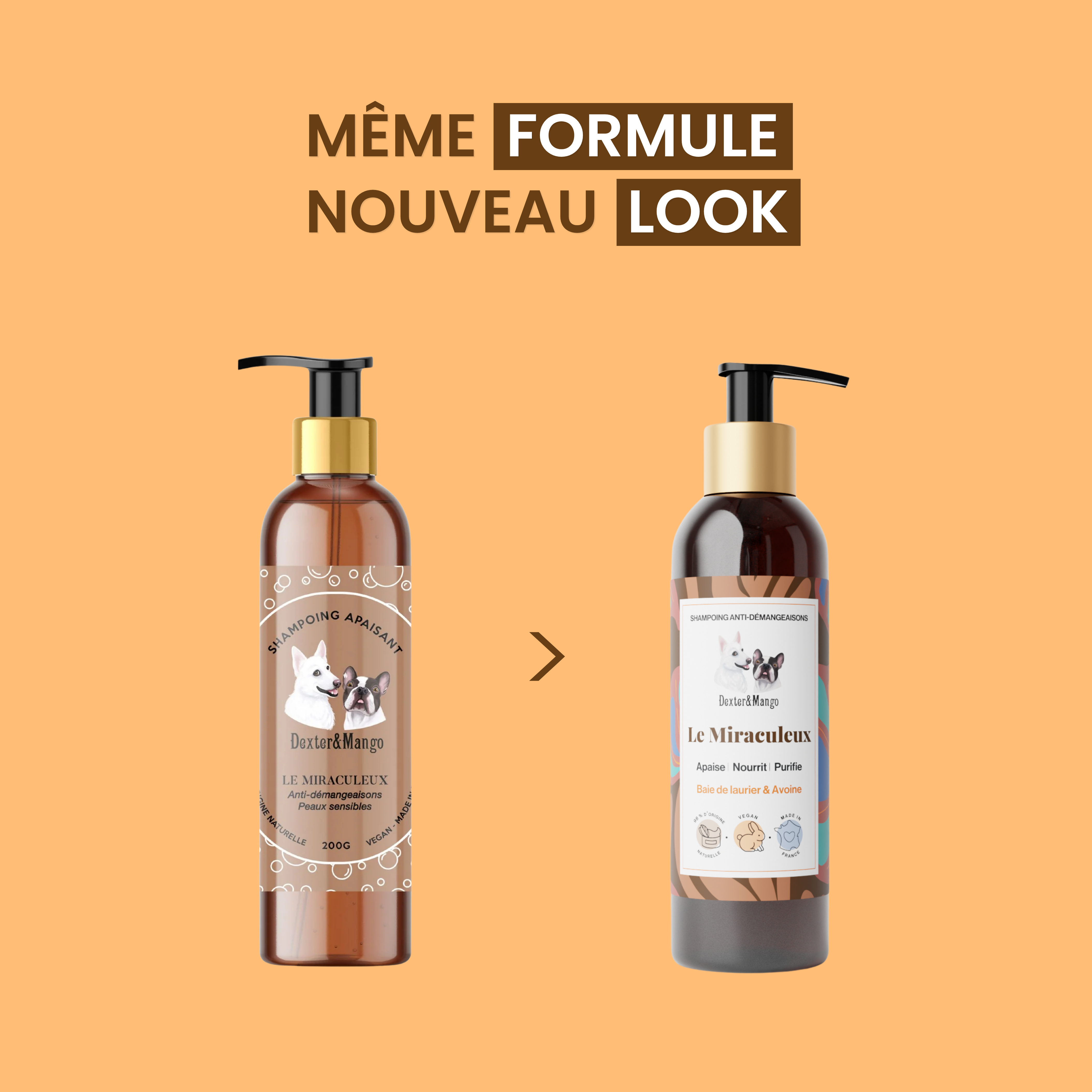 dexter-mango-le-miraculeux-shampoing-chien-confort-cutan image 7