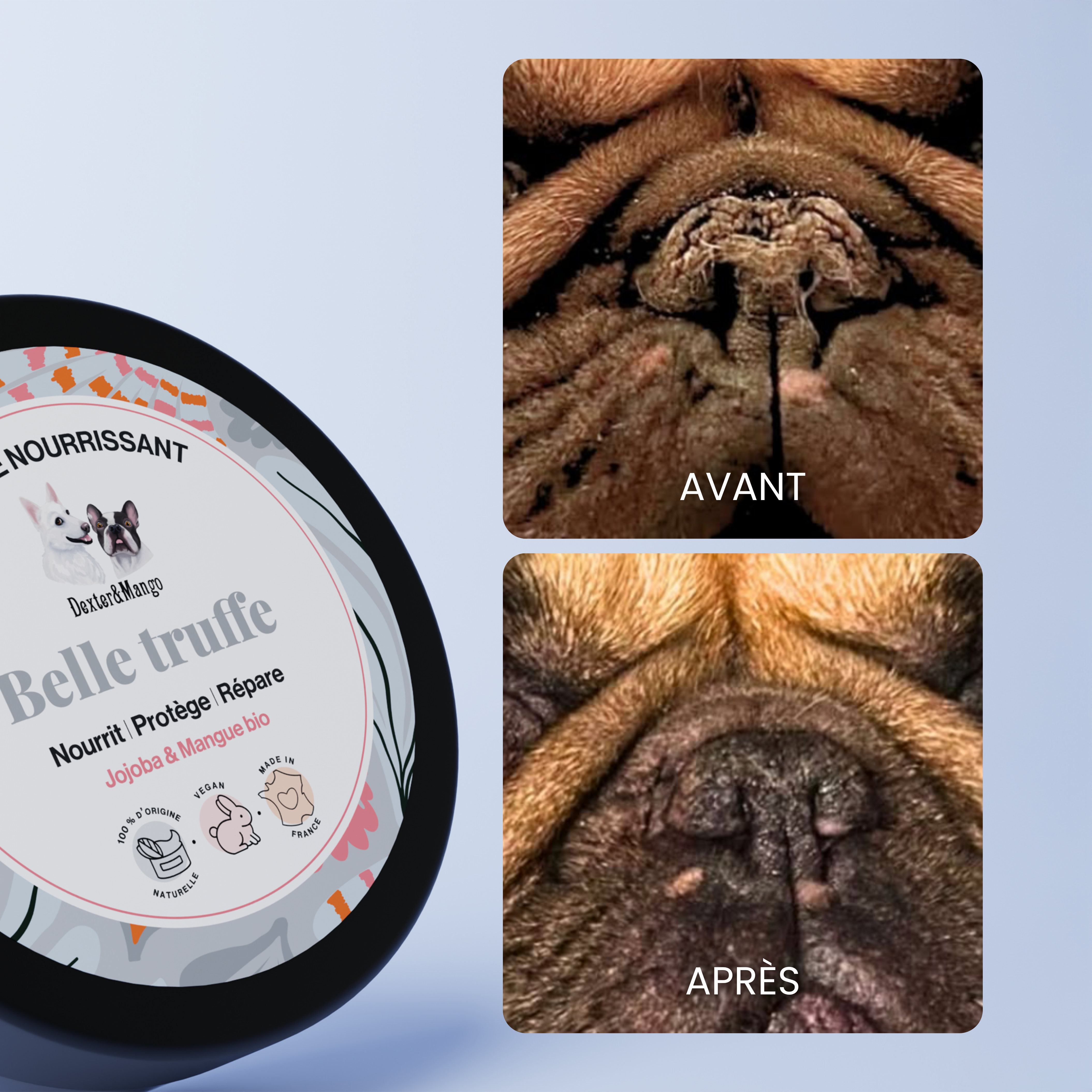 dexter-mango-belle-truffe-baume-truffe-chien-100-naturel image 6