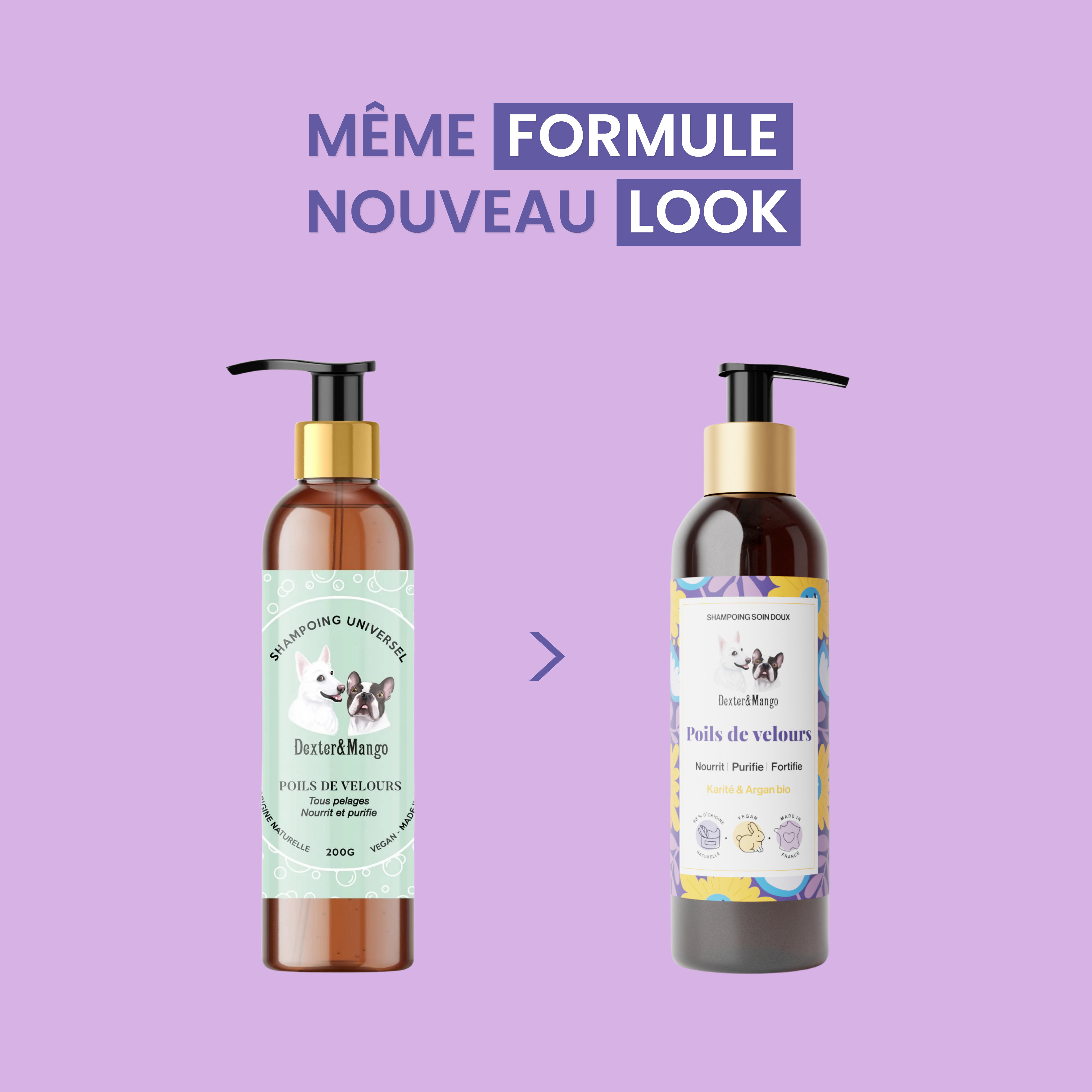 dexter-mango-poils-de-velours-shampoing-chien-naturel image 6