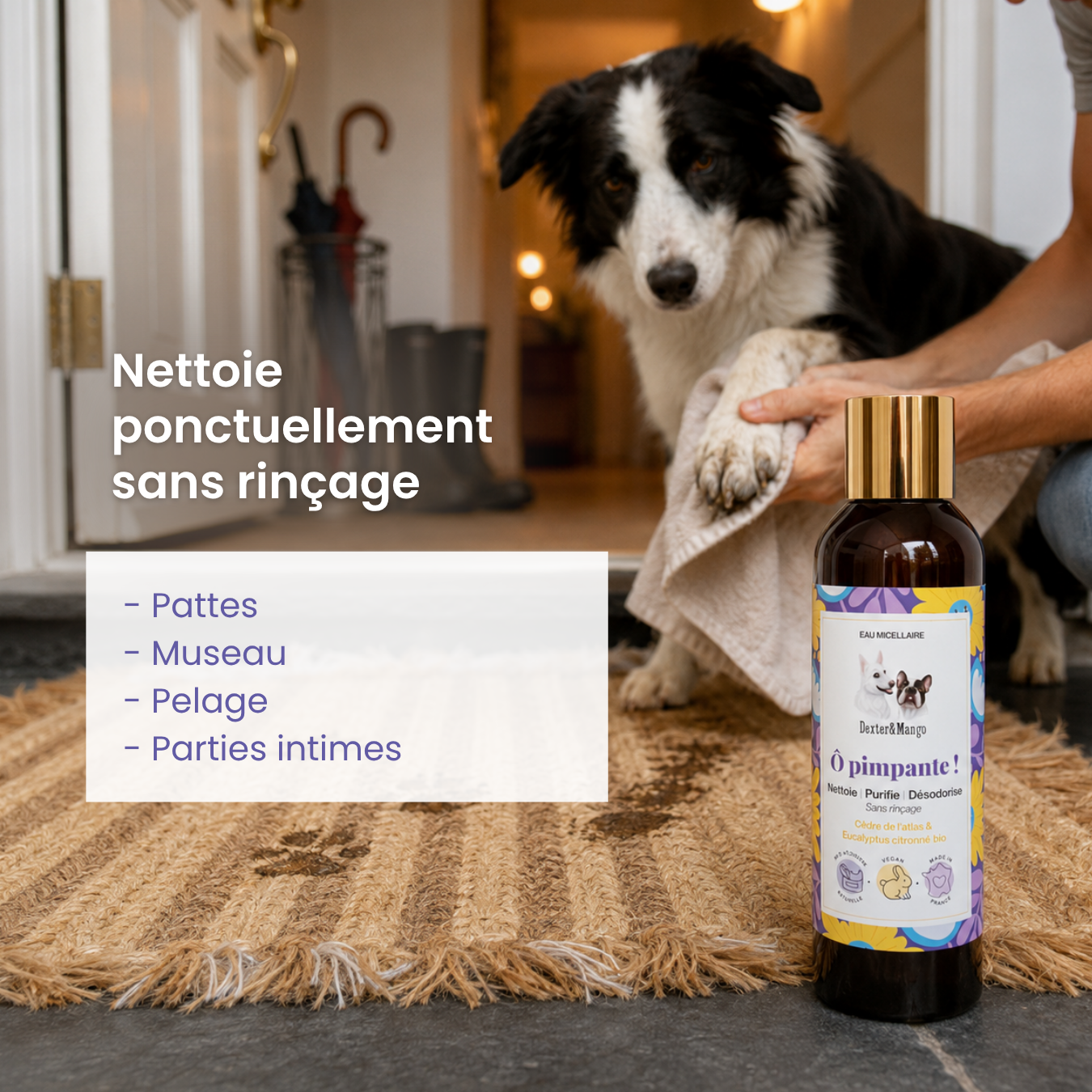 dexter-mango-pimpante-eau-micellaire-chien-sans-rin-age-bio image 2