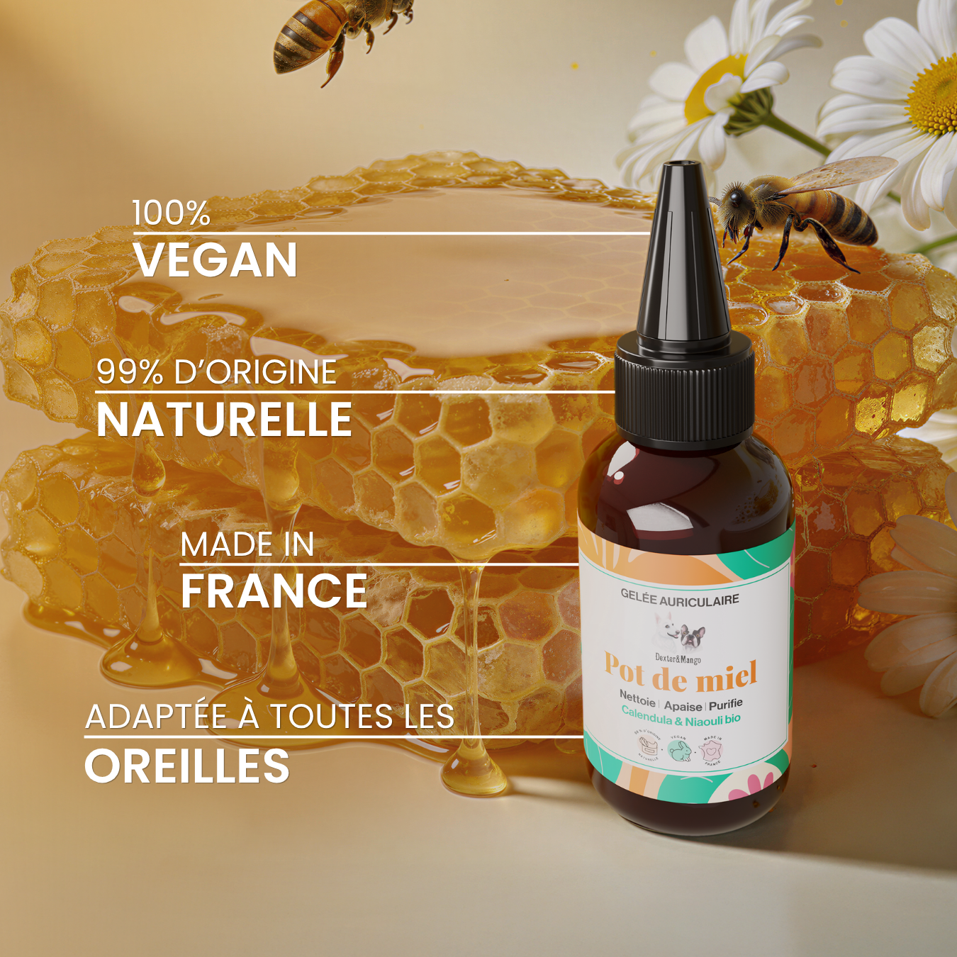 dexter-mango-pot-de-miel-gel-e-oreille-chien-c-rumen-naturel image 5