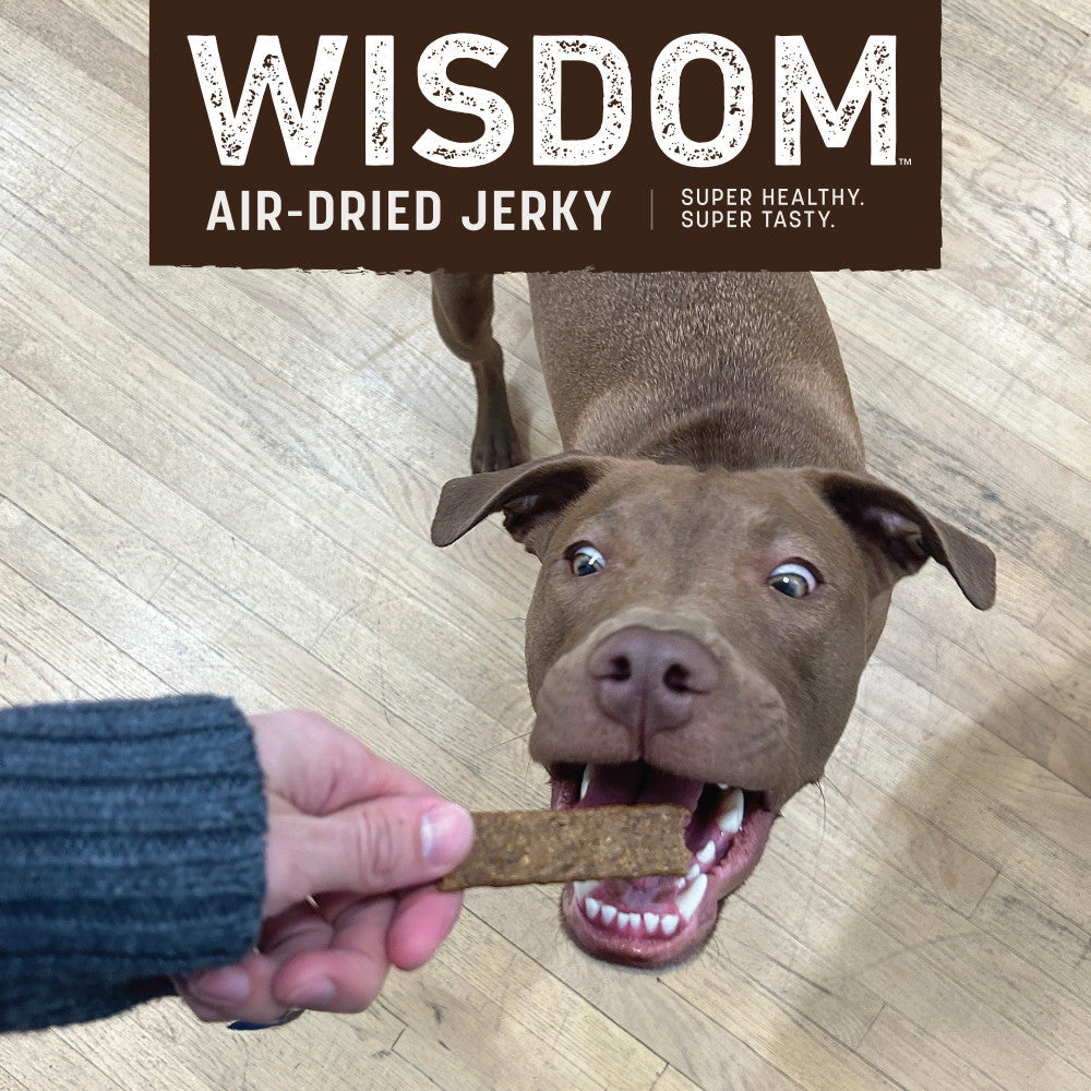 earth-animal-wisdom-jerky-from-the-soil-4-oz-hypoallerg-nique image 3
