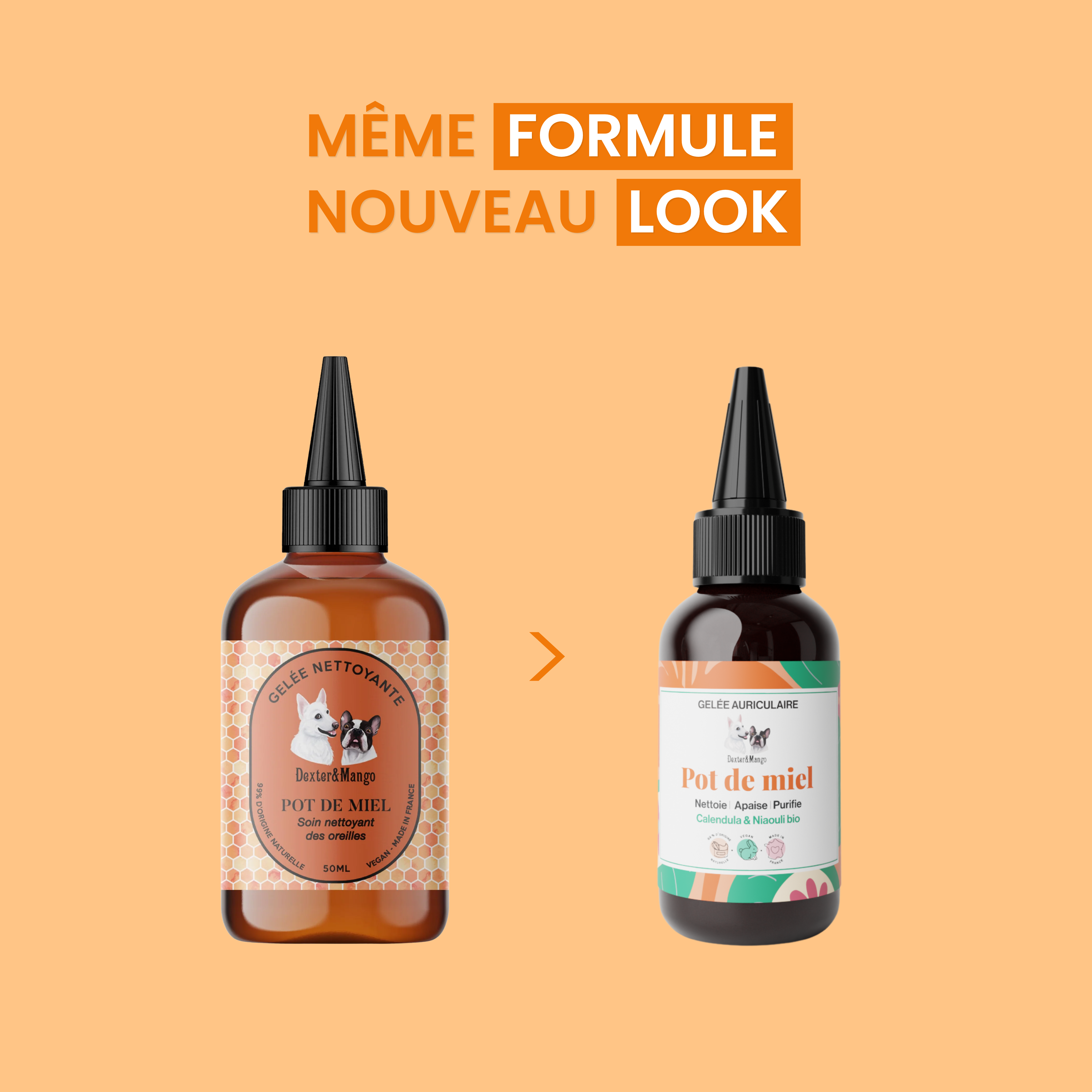 dexter-mango-pot-de-miel-gel-e-oreille-chien-c-rumen-naturel image 7