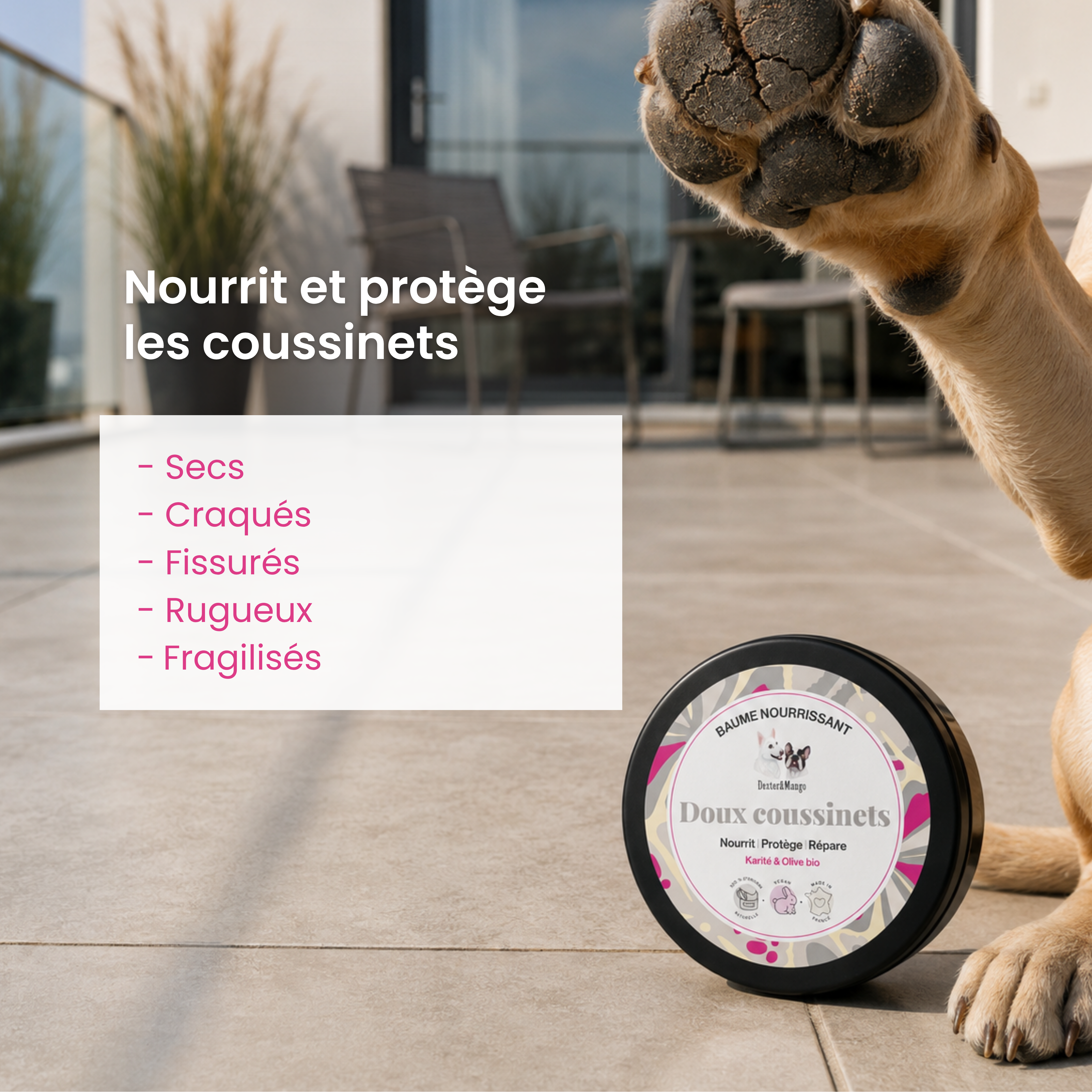dexter-mango-doux-coussinets-baume-pattes-chien-naturel image 2