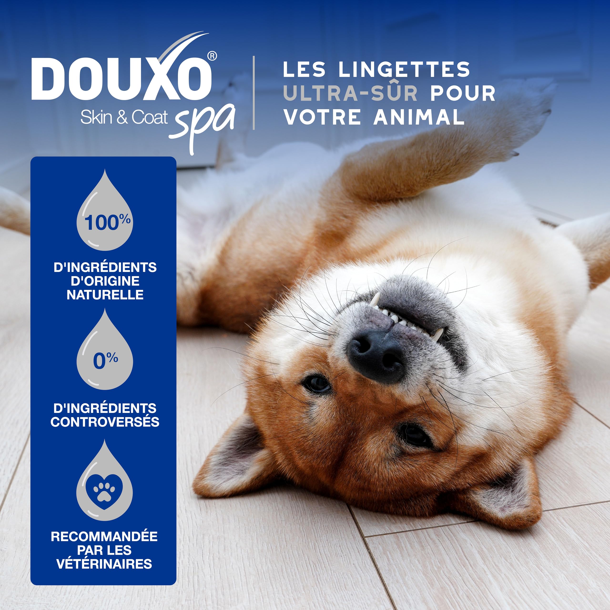 douxo-spa-lingettes-chien-chat-amande-douce-hypoallerg-niques image 4