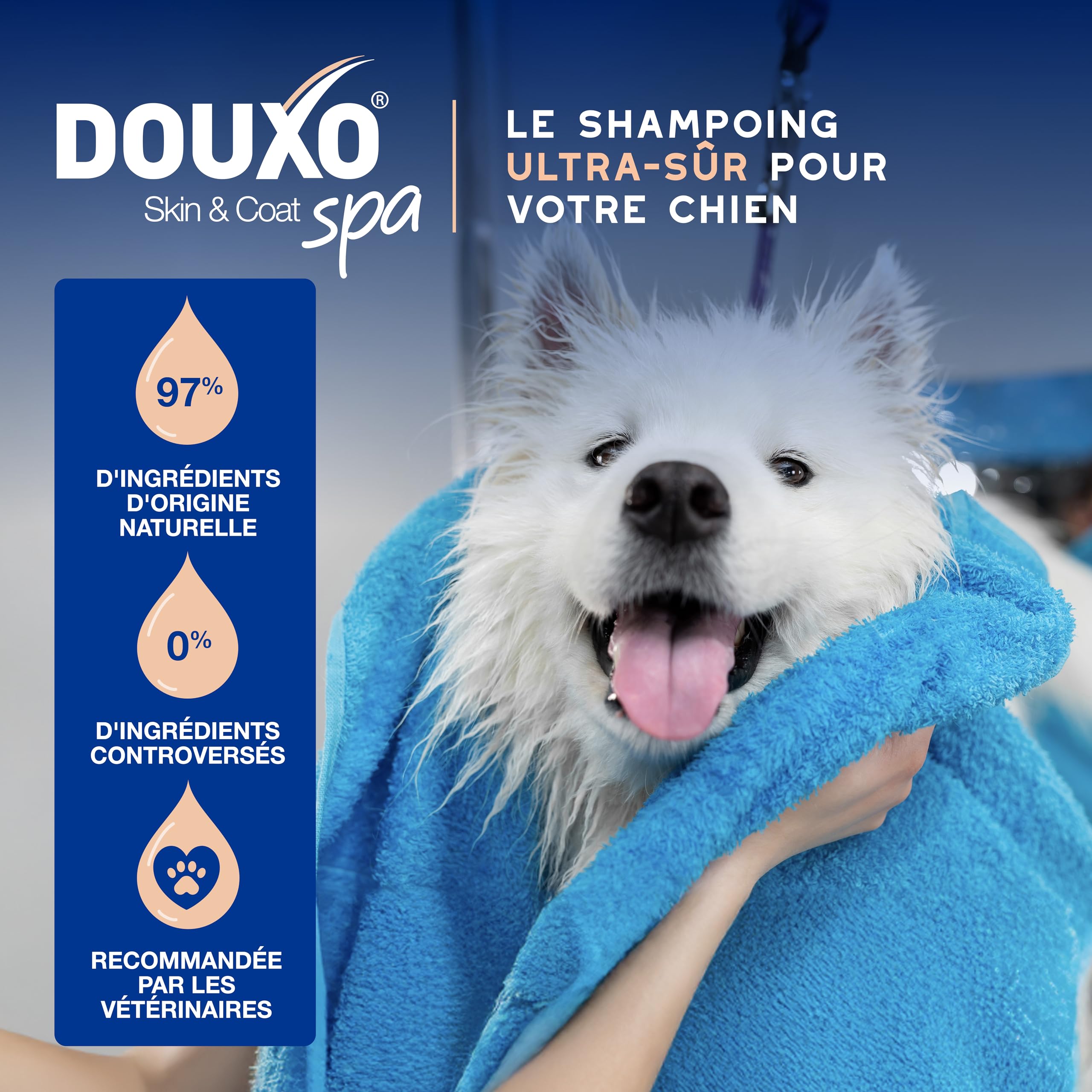 douxo-spa-skin-coat-shampoing-chien-anti-chute-poils image 4