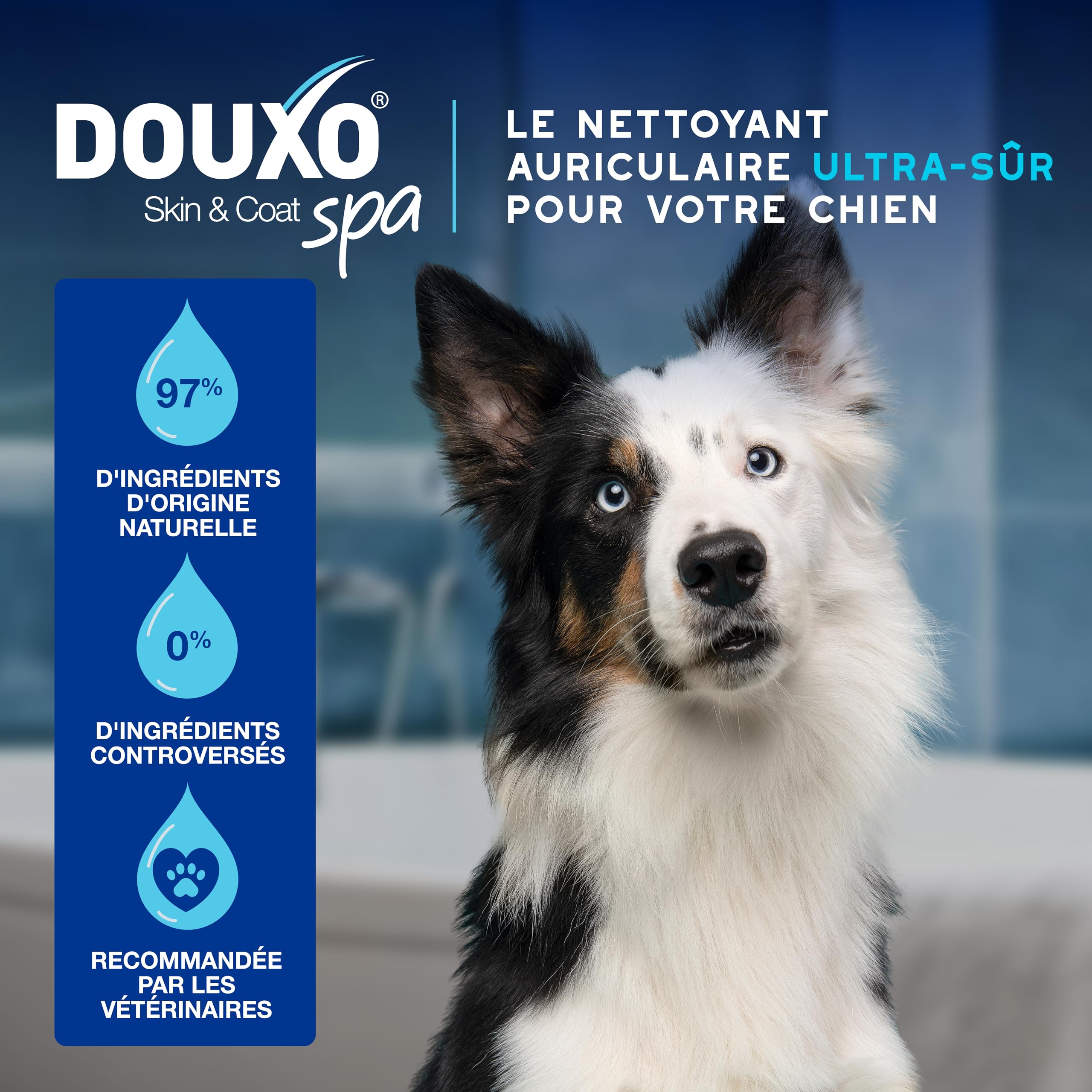 douxo-skin-coat-spa-nettoyant-oreille-chien-micellaire-naturel image 4