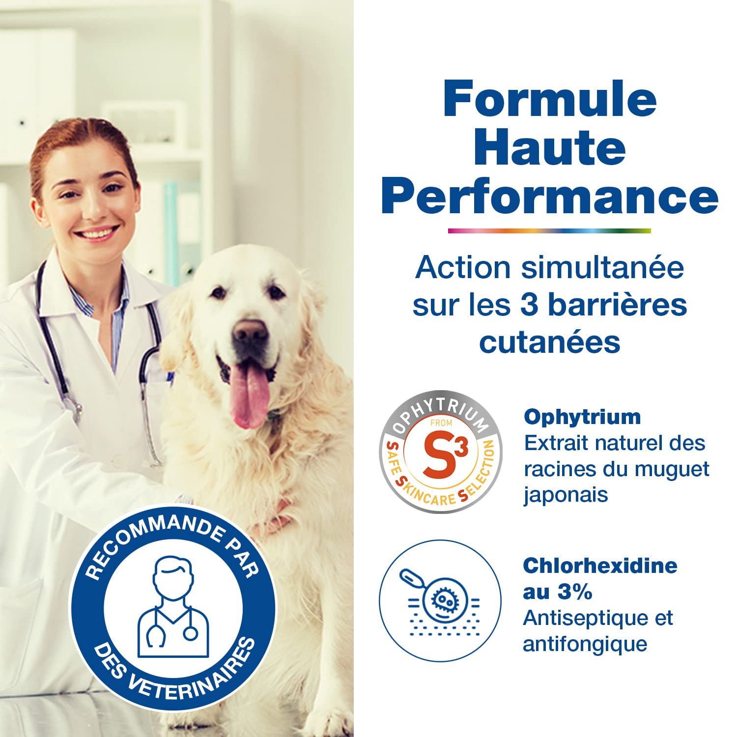 douxo-s3-pyo-pads-chien-chat-30-cotons-antiseptiques image 4