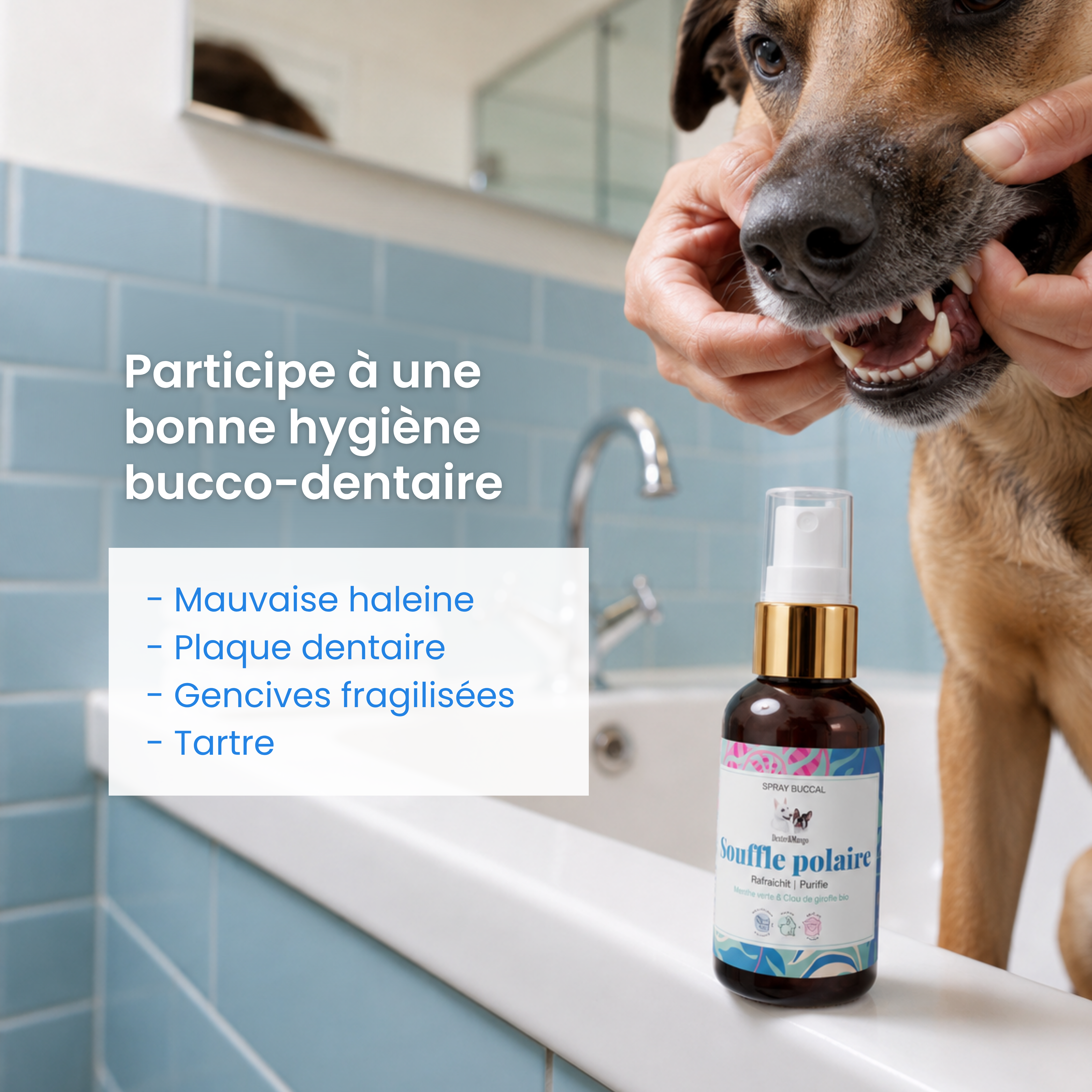 dexter-mango-souffle-polaire-spray-buccal-chien-haleine-fra-che image 2