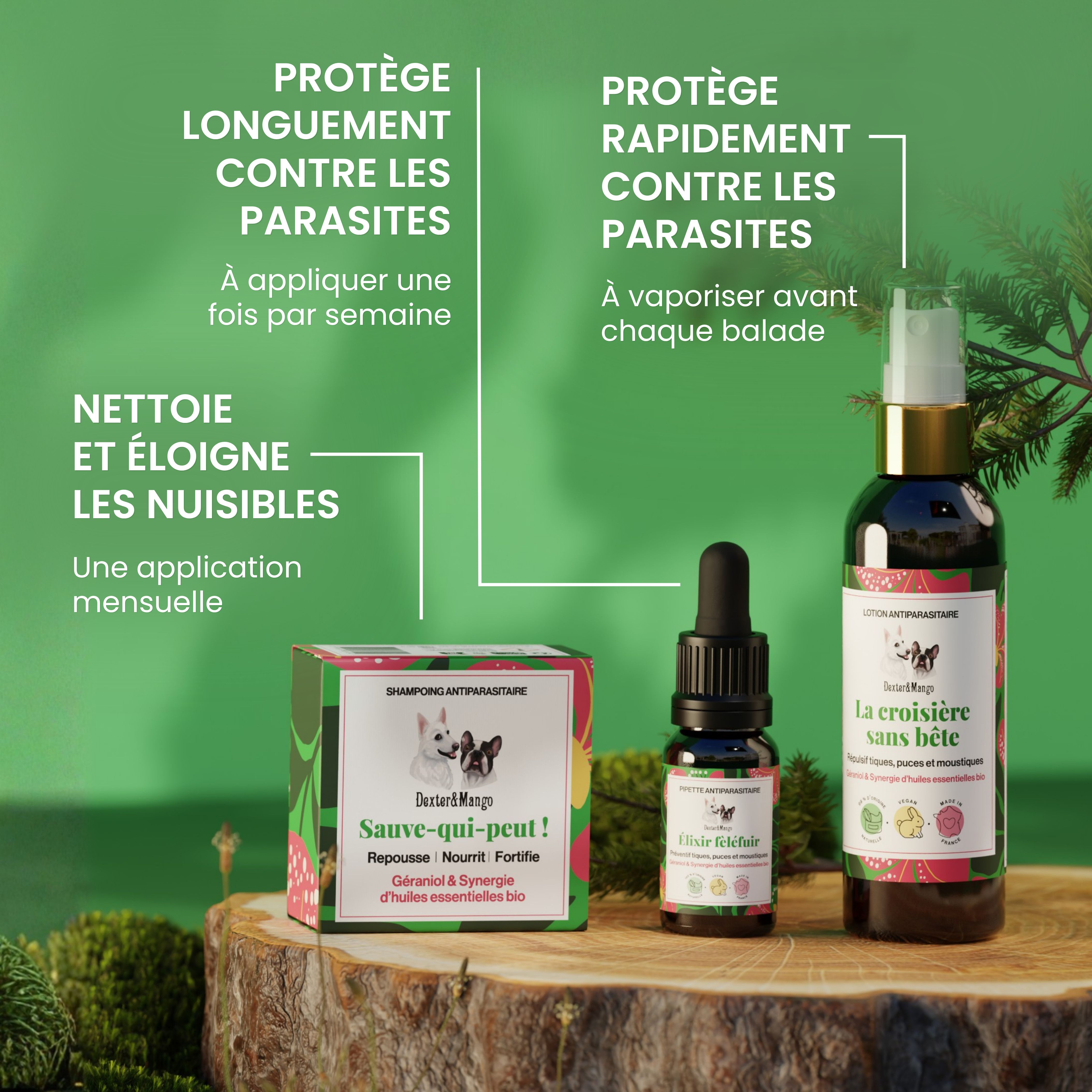 dexter-mango-trousse-antiparasitaire-chien-pack-3-soins-naturel image 2