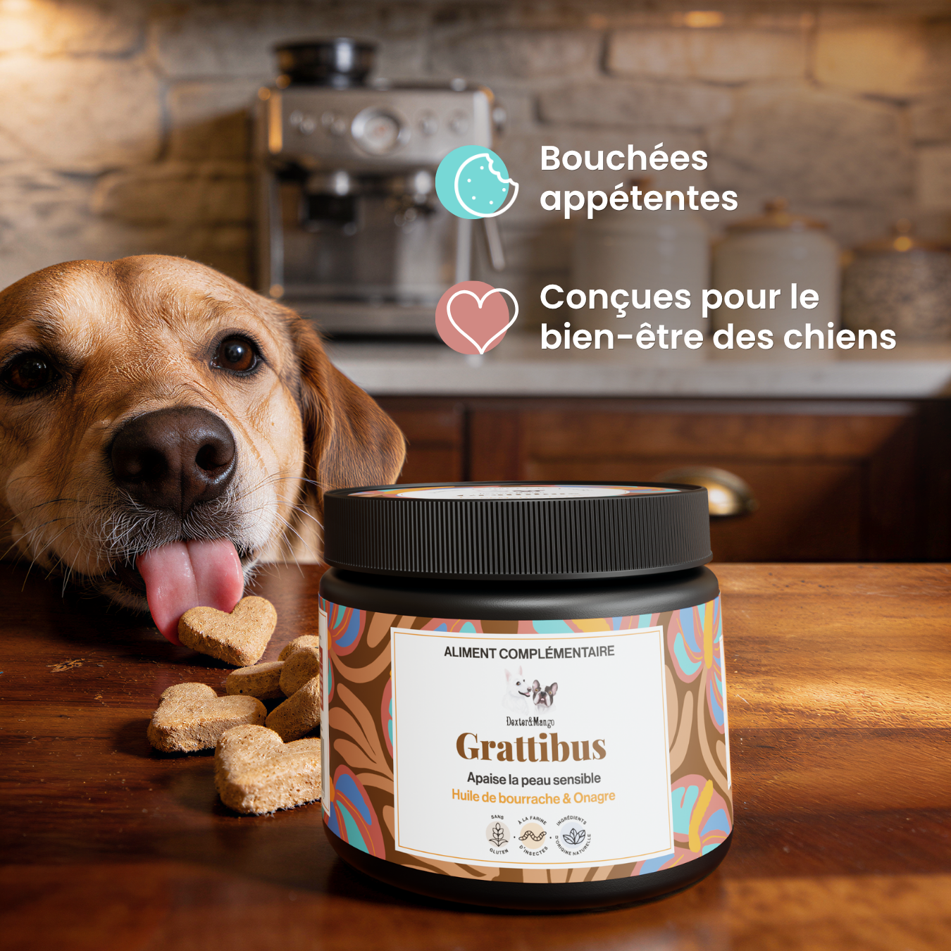 dexter-mango-grattibus-bouch-es-peau-pelage-chien image 4