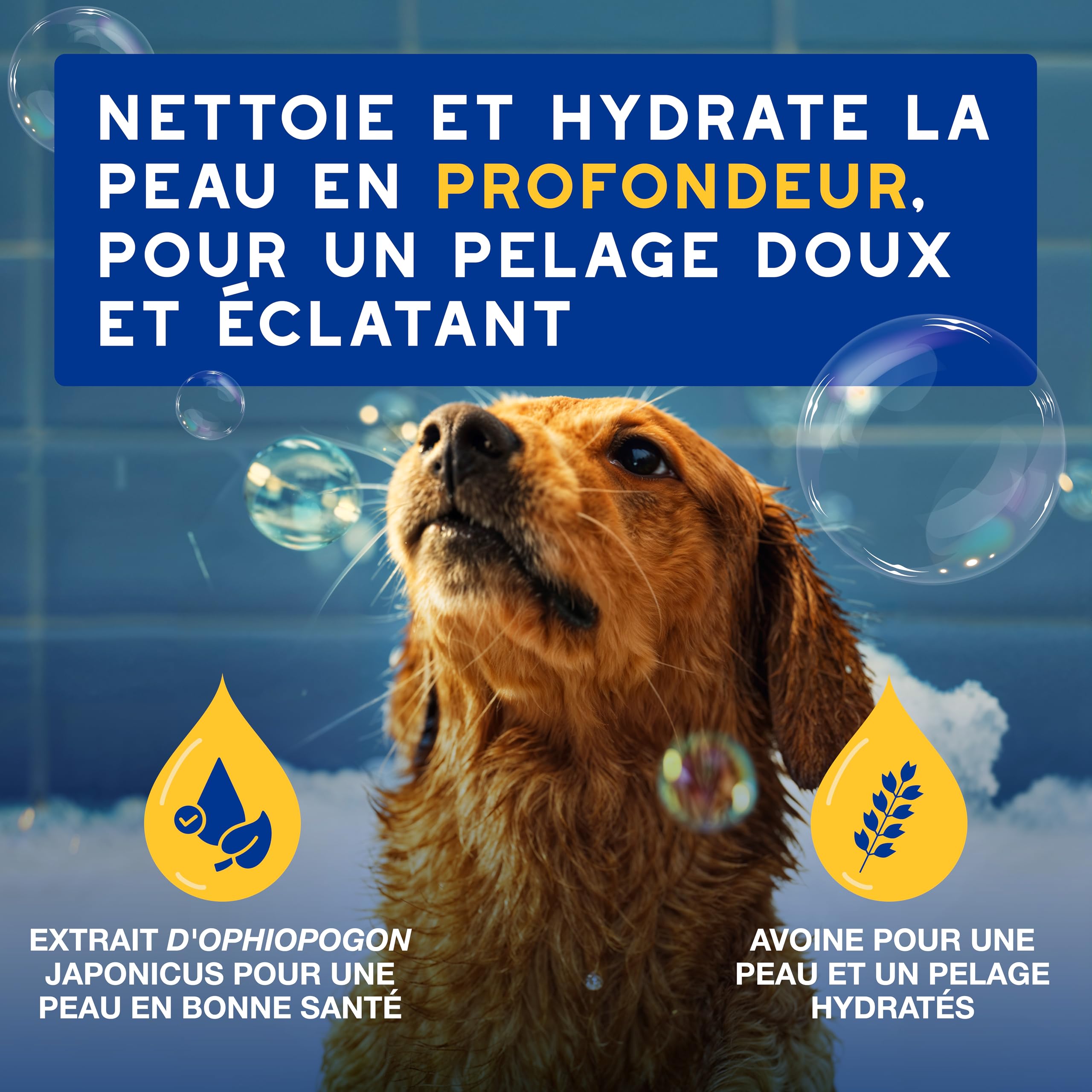 douxo-spa-skin-coat-spa-shampoing-chien-hydratant-avoine image 2