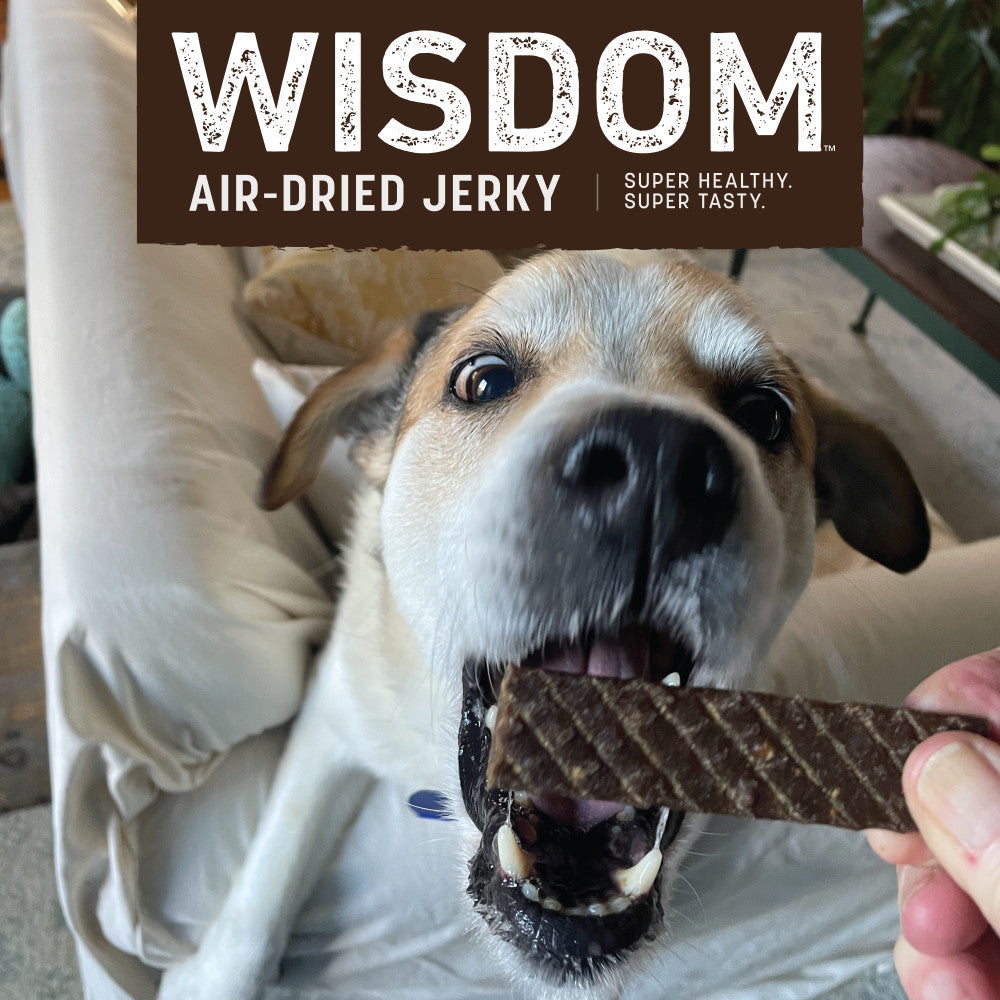 earth-animal-wisdom-from-the-air-jerky-friandise-chien-4-oz image 3