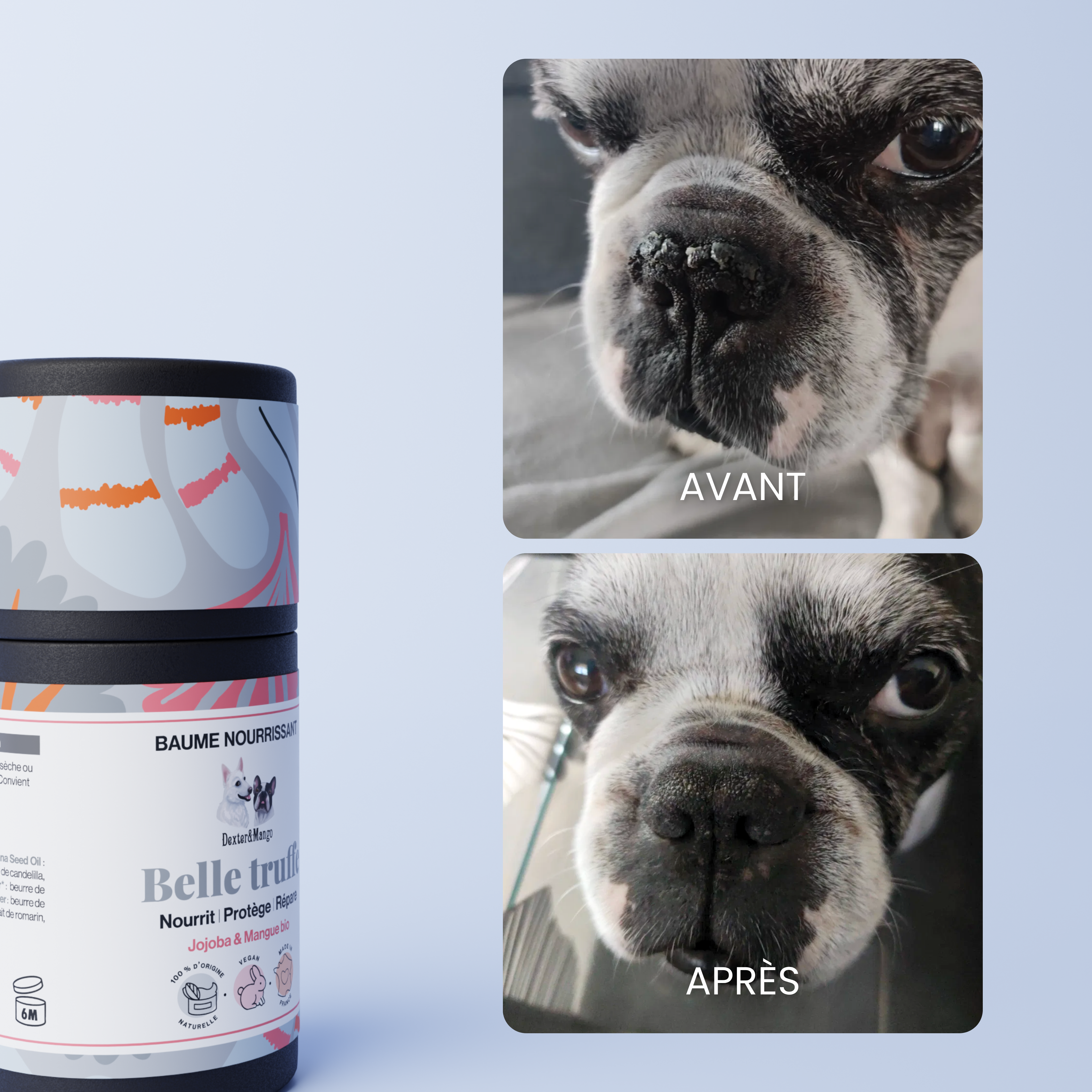 dexter-mango-belle-truffe-baume-stick-truffe-s-che image 6