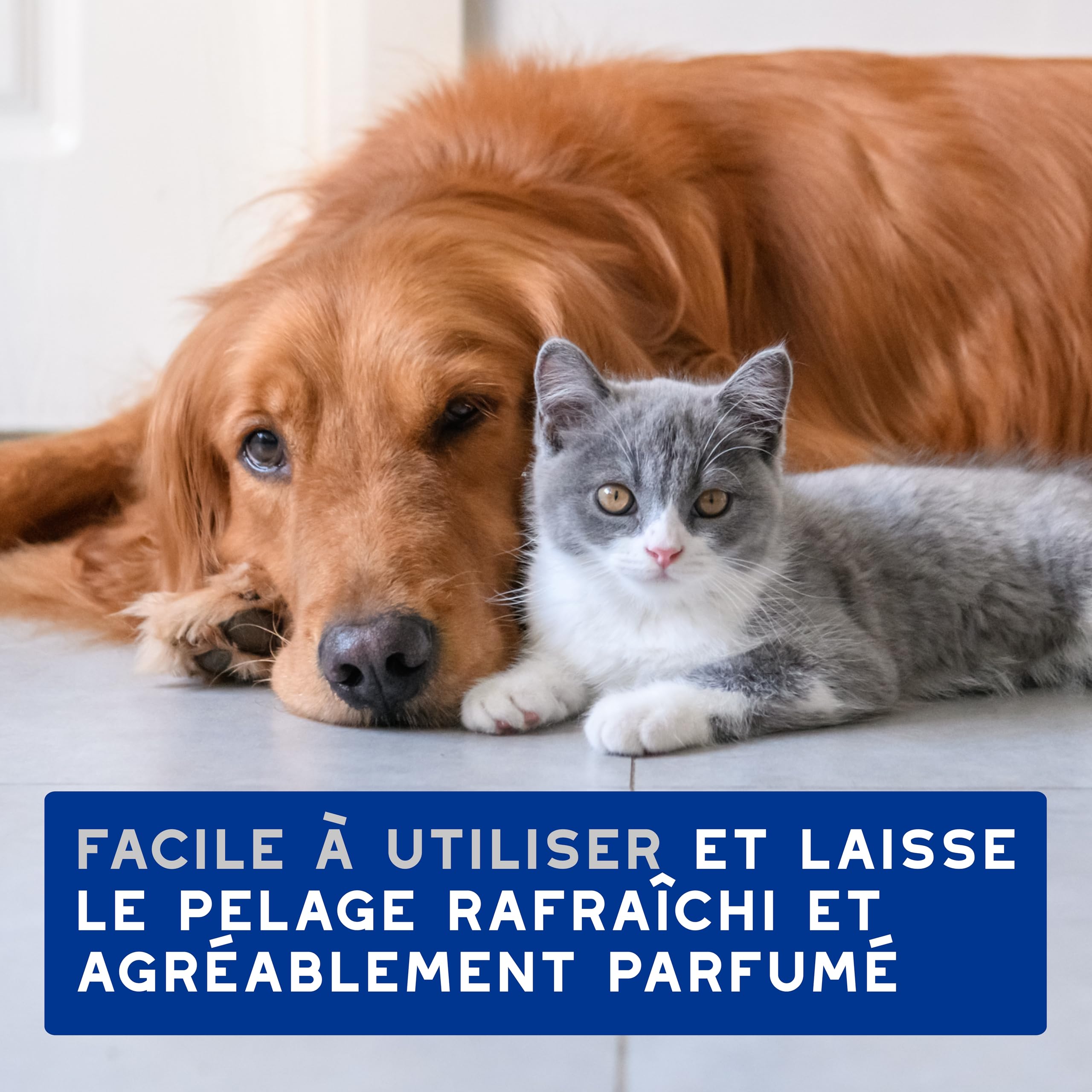 douxo-spa-lingettes-chien-chat-amande-douce-hypoallerg-niques image 7