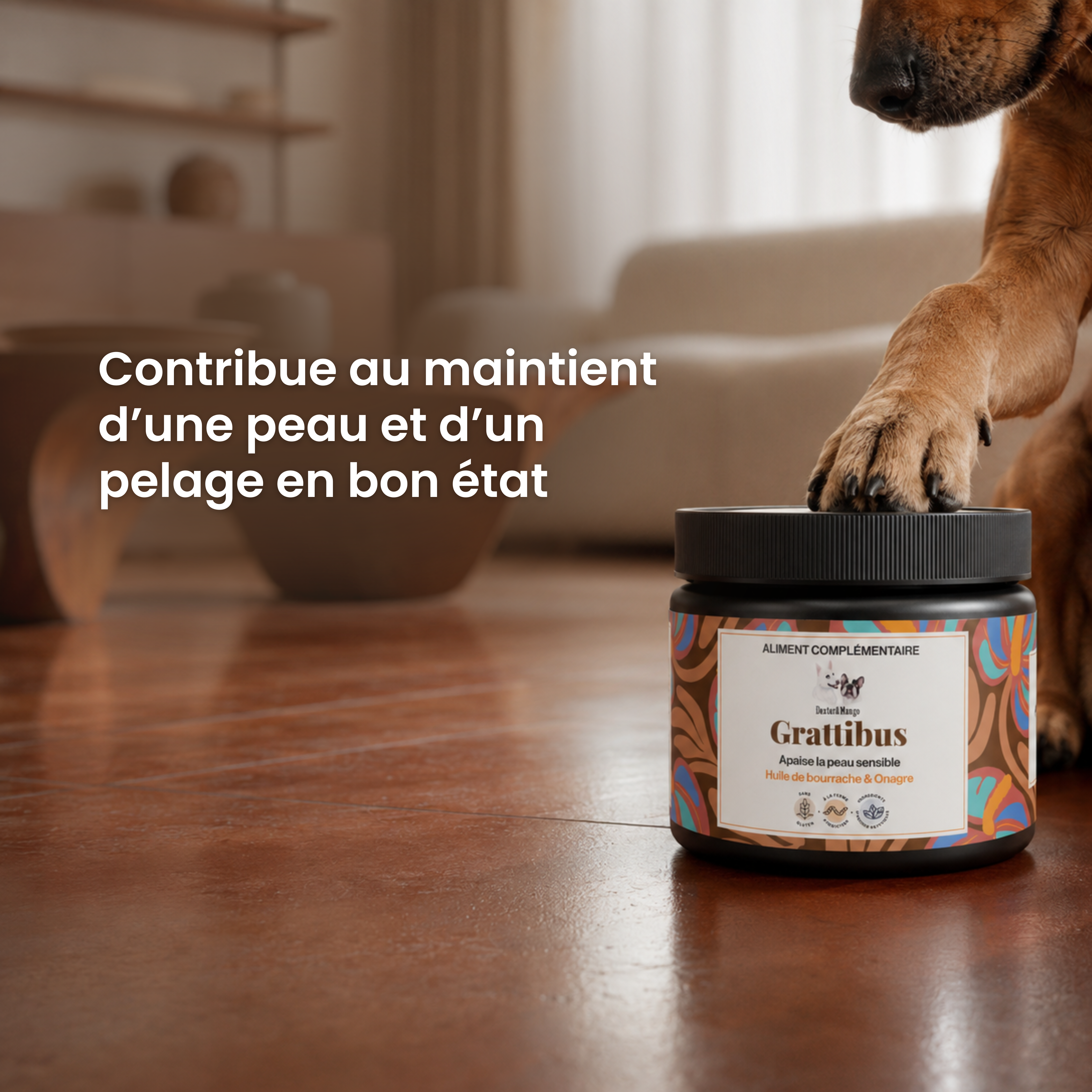 dexter-mango-grattibus-bouch-es-peau-pelage-chien image 2