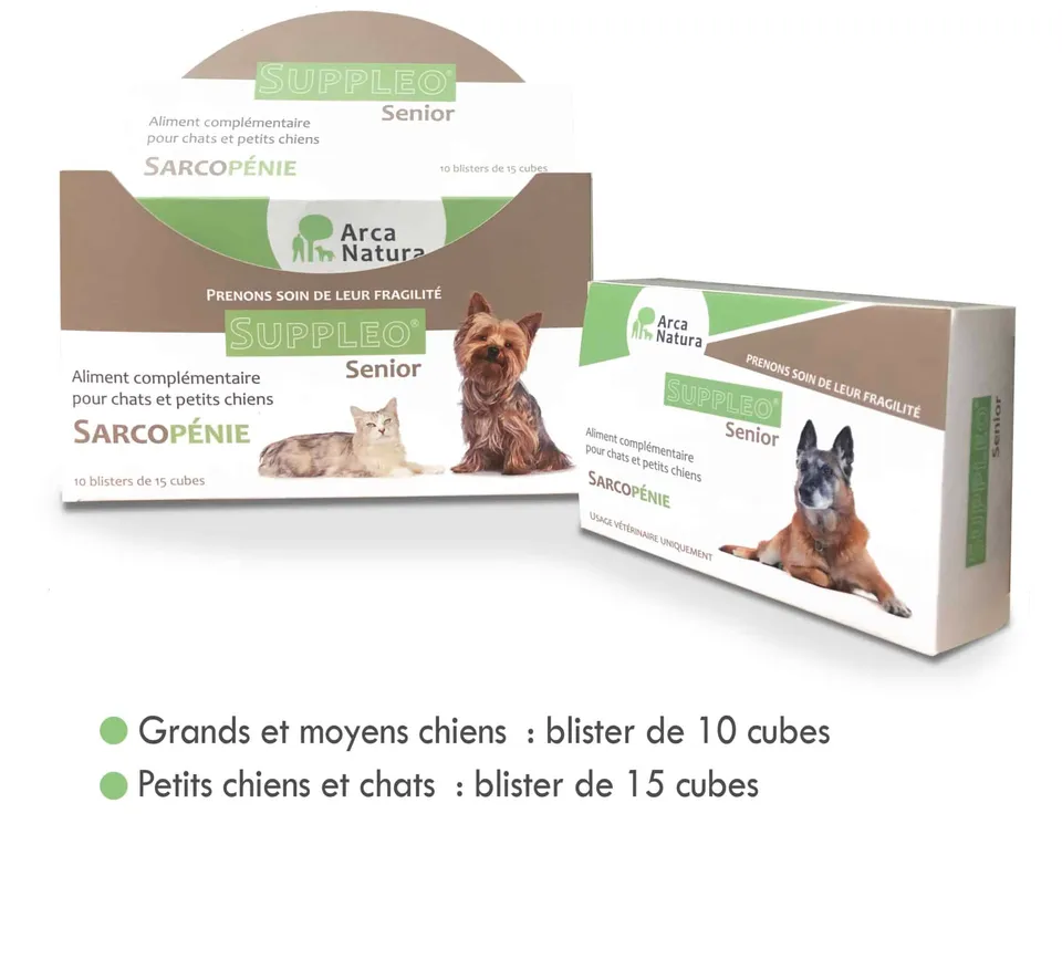 arcanatura-suppleo-senior-compl-ment-chien-senior-sarcop-nie image 1