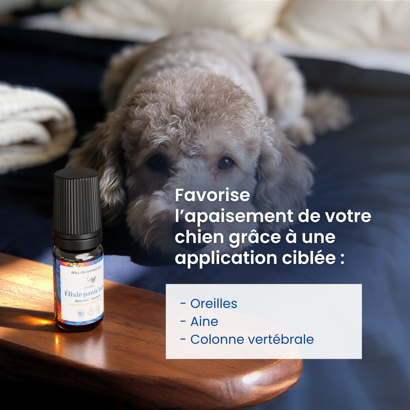 dexter-mango-panic-paw-roll-on-anti-stress-chien image 2