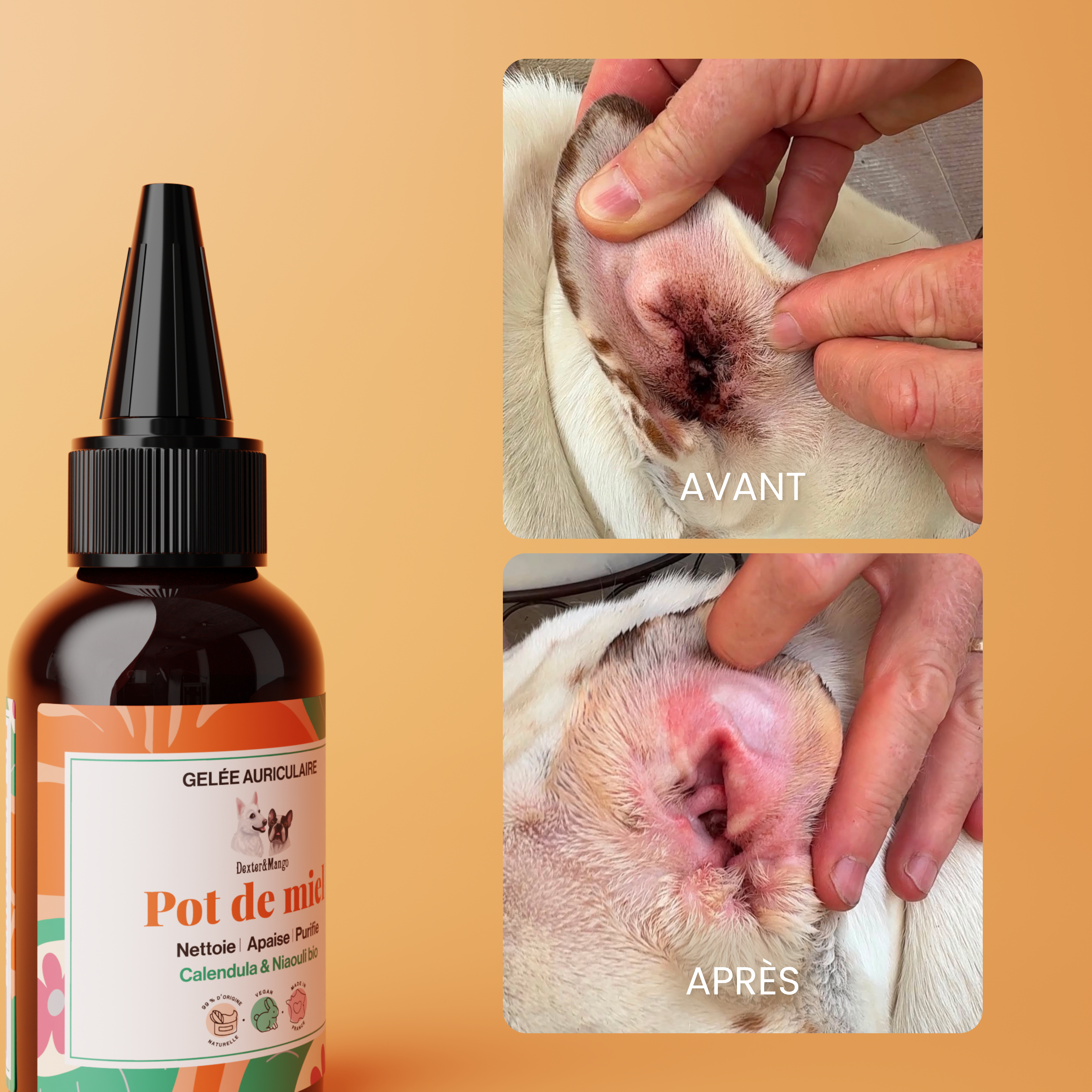 dexter-mango-pot-de-miel-gel-e-oreille-chien-c-rumen-naturel image 6