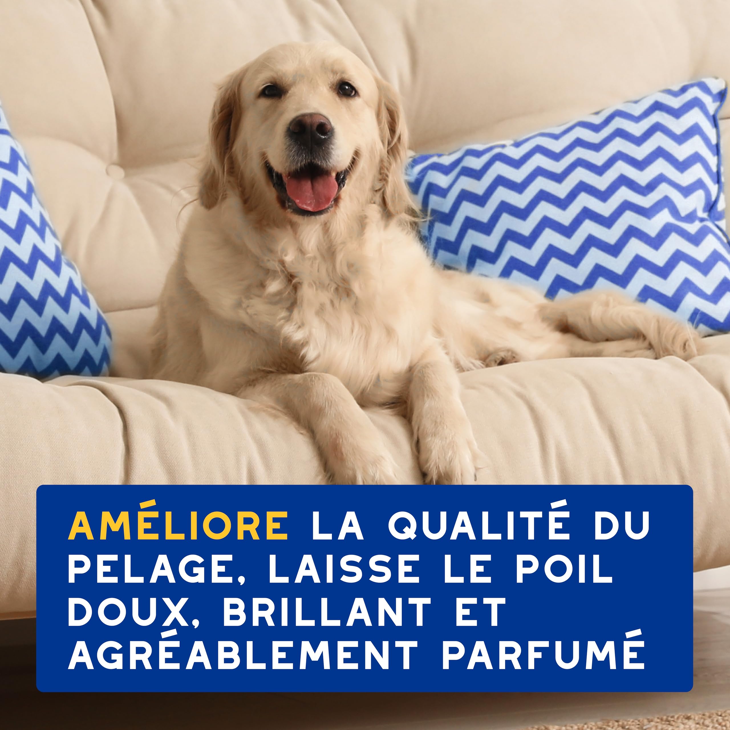 douxo-spa-skin-coat-spa-shampoing-chien-hydratant-avoine image 7