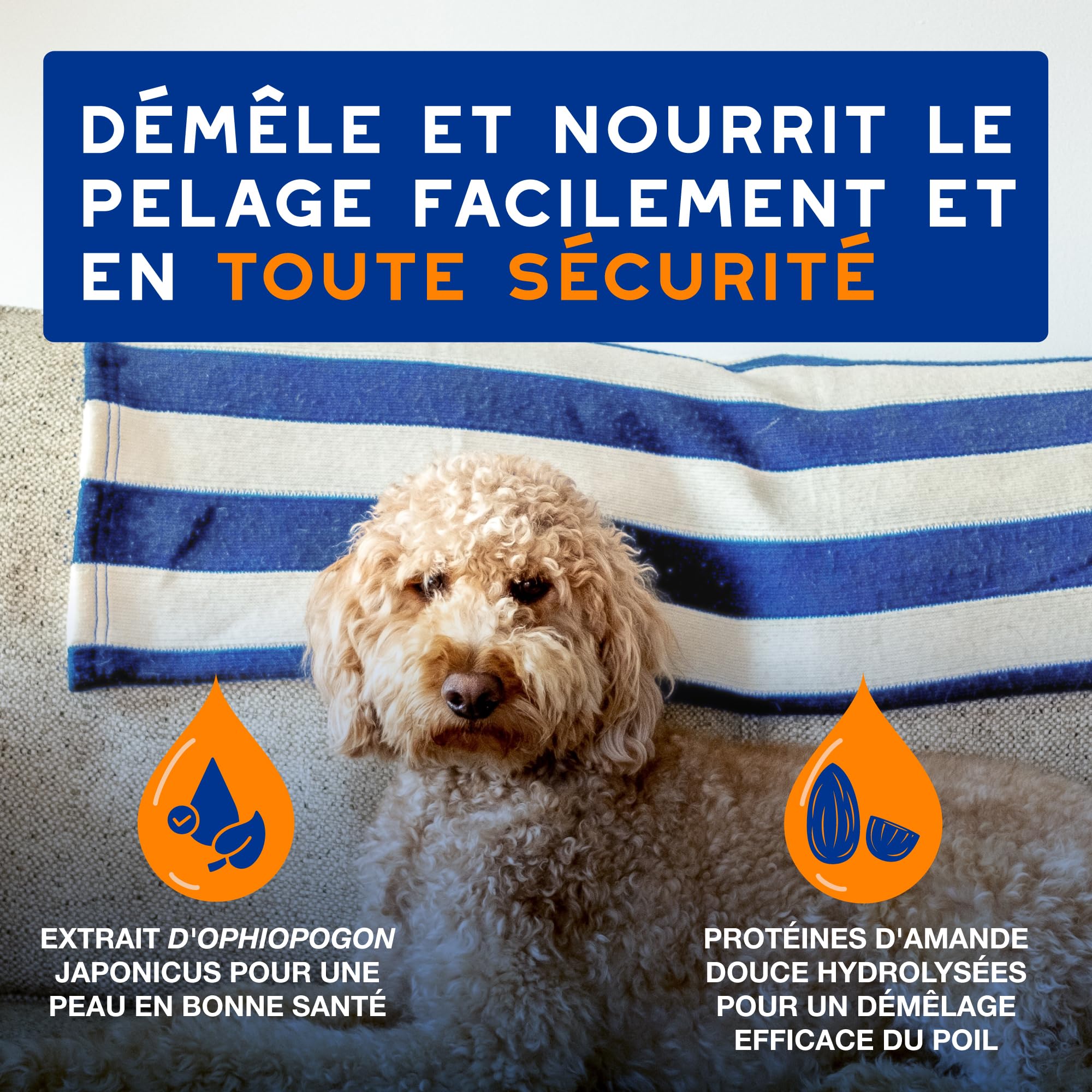 douxo-spa-skin-coat-spray-d-m-lant-chien-amande-douce-anti-n-uds image 2