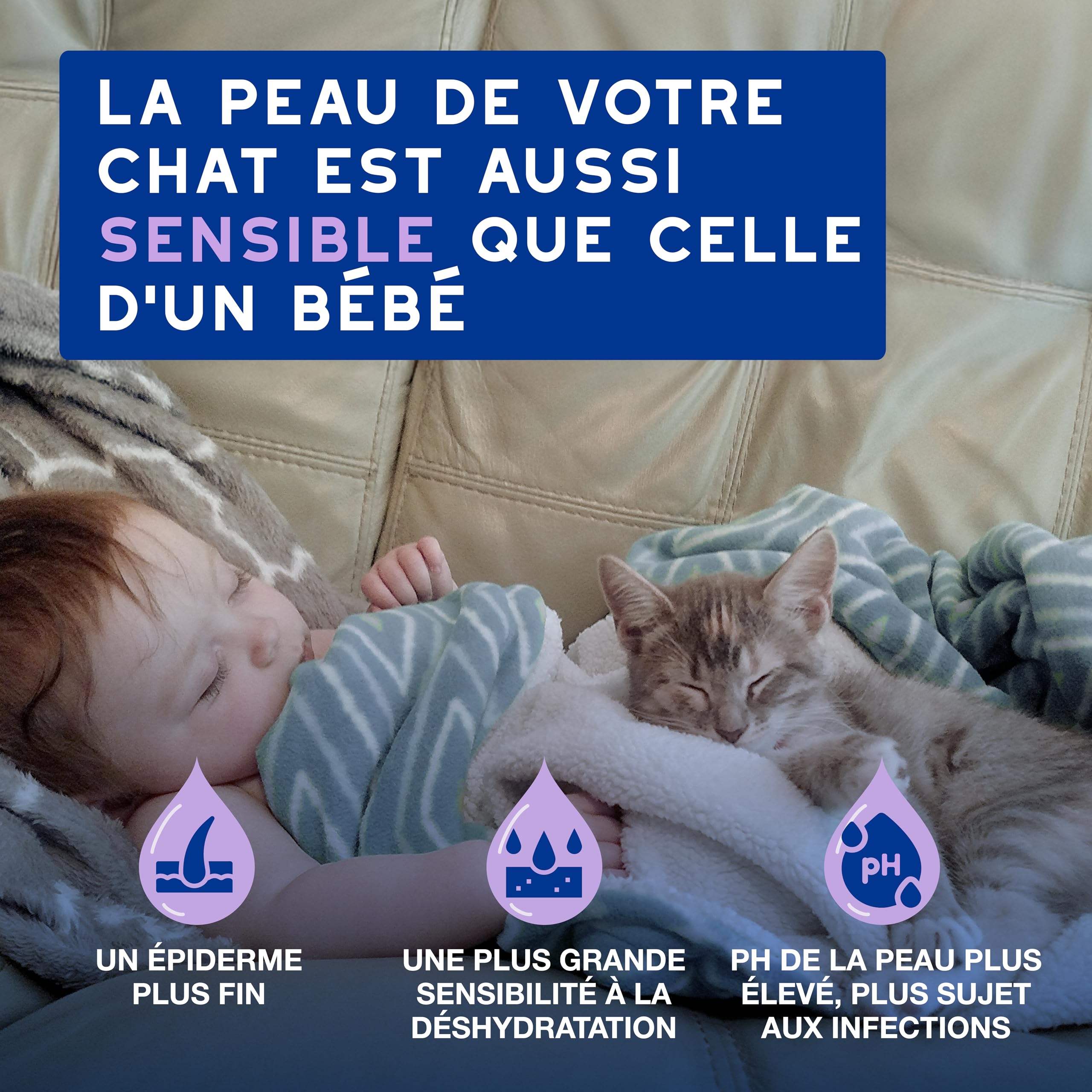douxo-spa-skin-coat-mousse-sans-rin-age-chat-amande-douce image 3