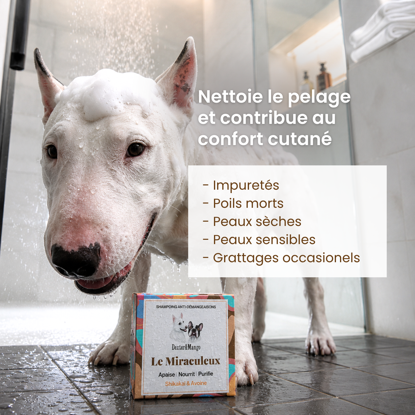 dexter-mango-le-miraculeux-shampoing-solide-chien-peaux-sensibles image 2