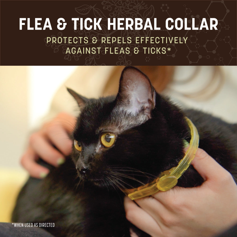 earth-animal-nature-s-protection-collier-chat-herbal-citronnelle image 2