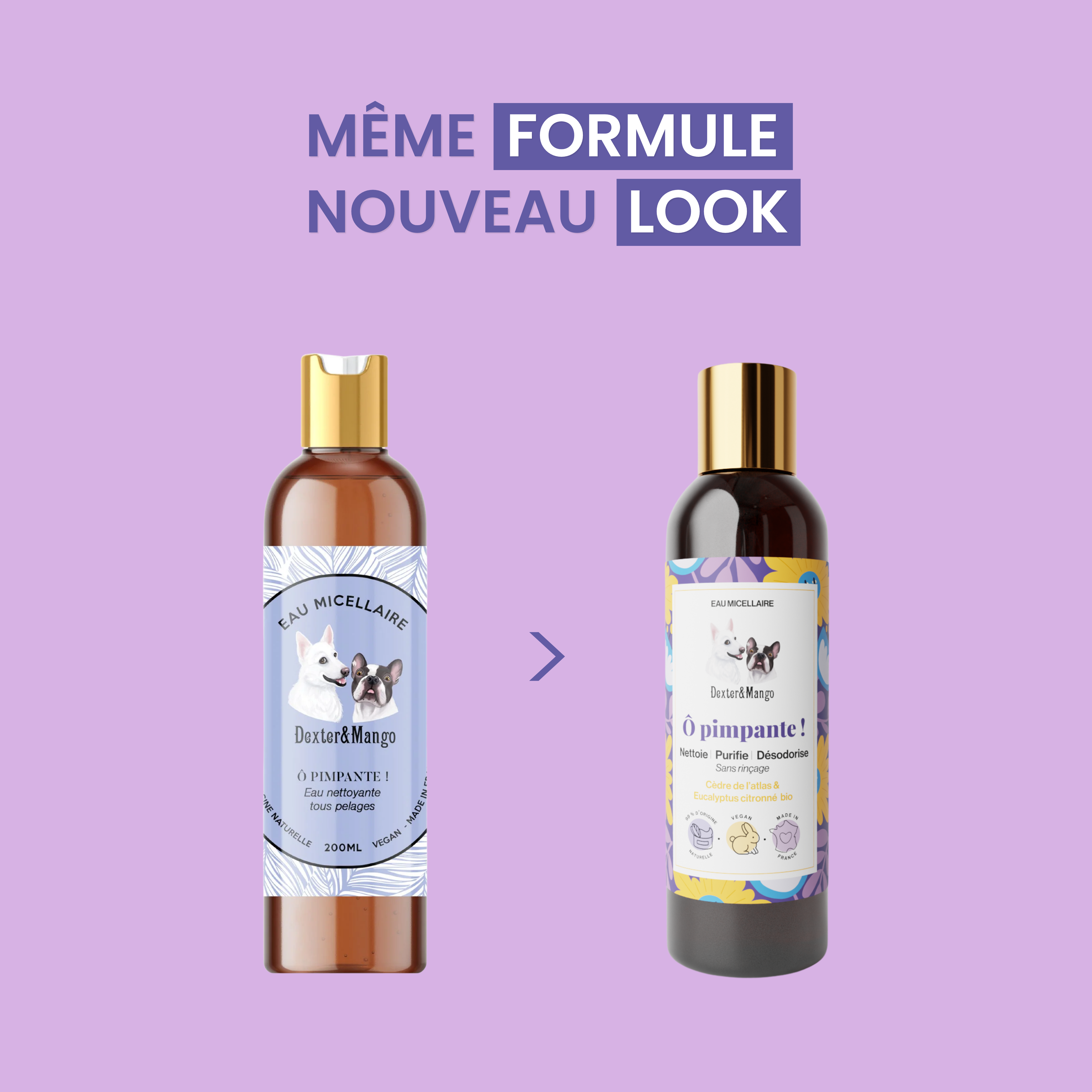 dexter-mango-pimpante-eau-micellaire-chien-sans-rin-age-bio image 7