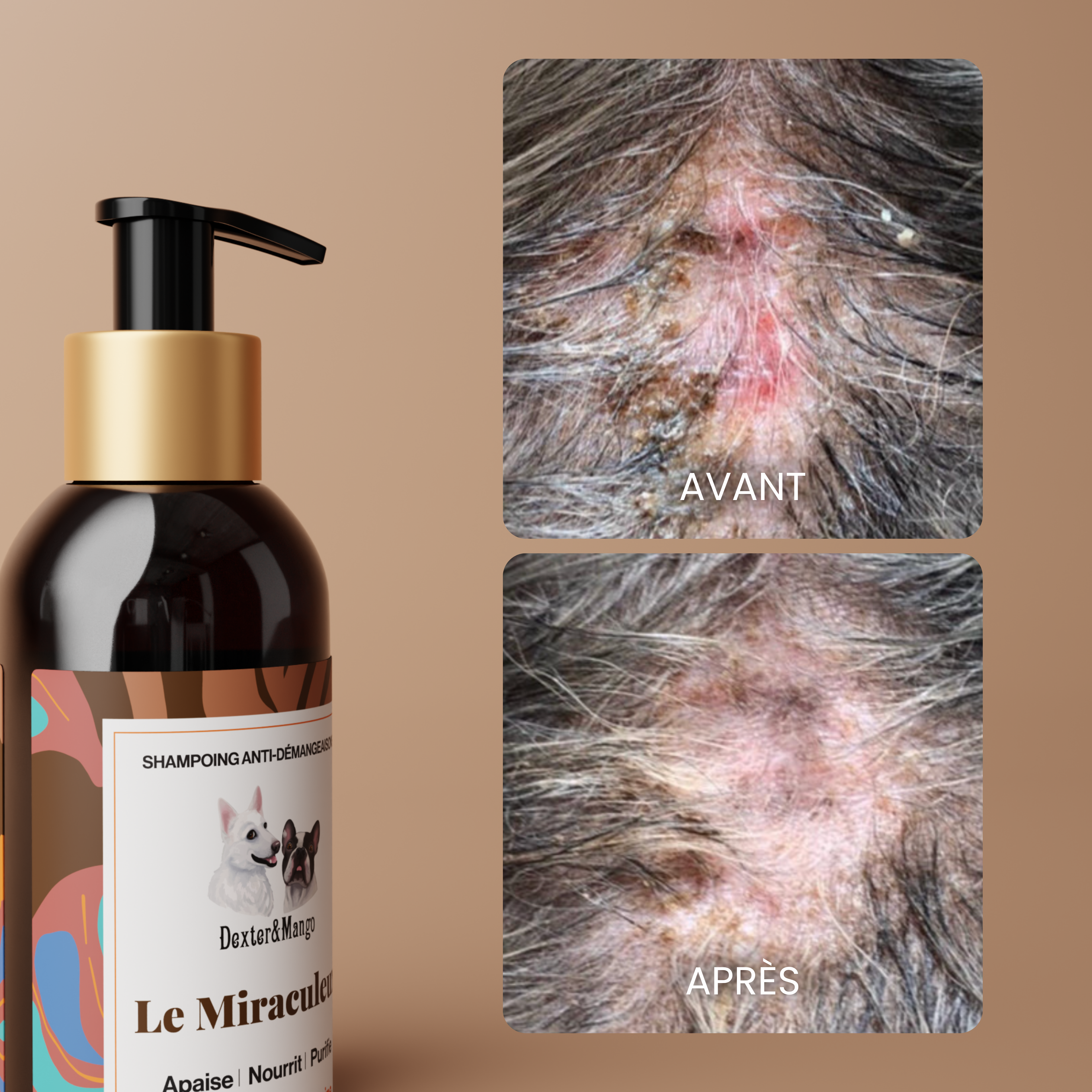 dexter-mango-le-miraculeux-shampoing-chien-confort-cutan image 6