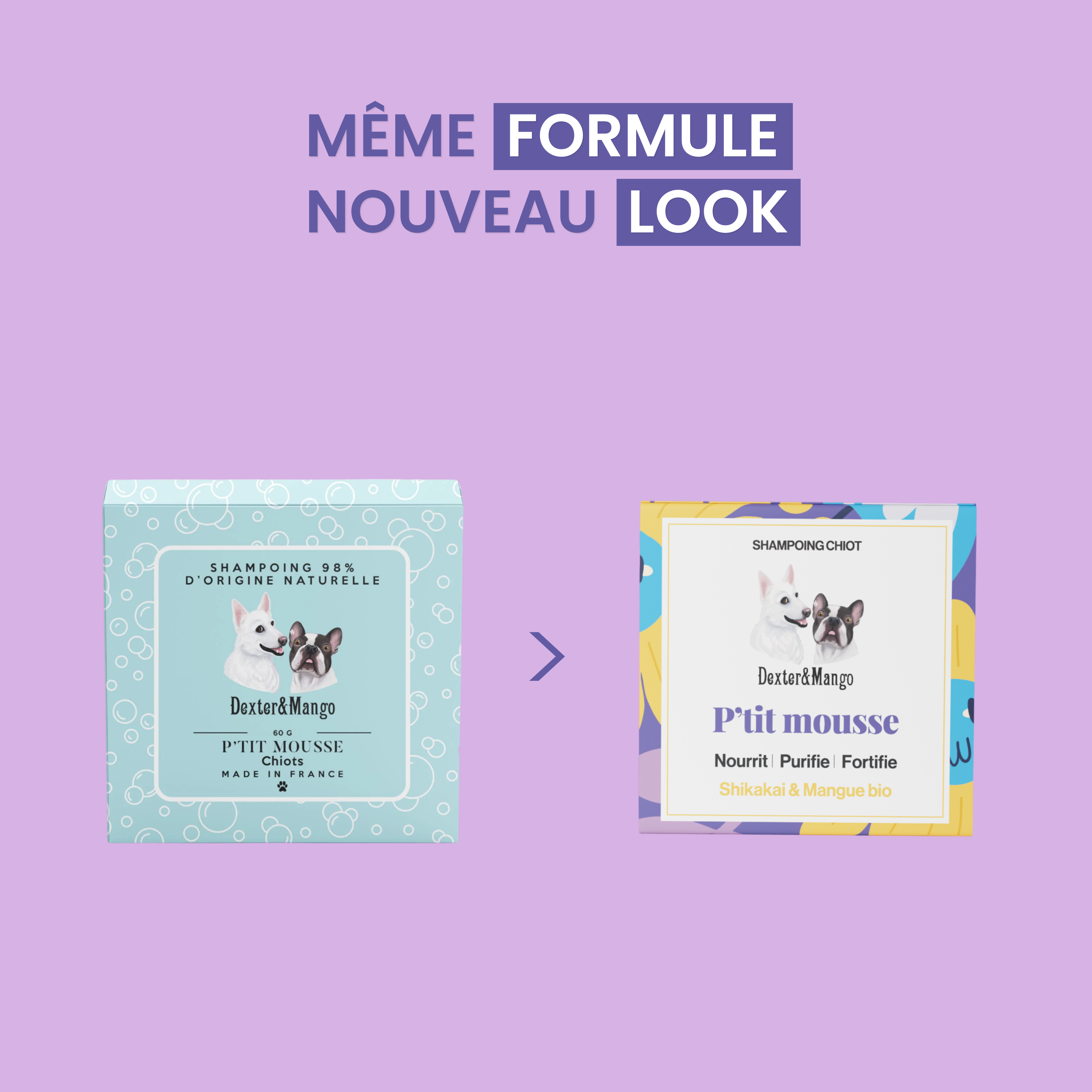 dexter-mango-p-tit-mousse-shampoing-chiot-naturel-98 image 6
