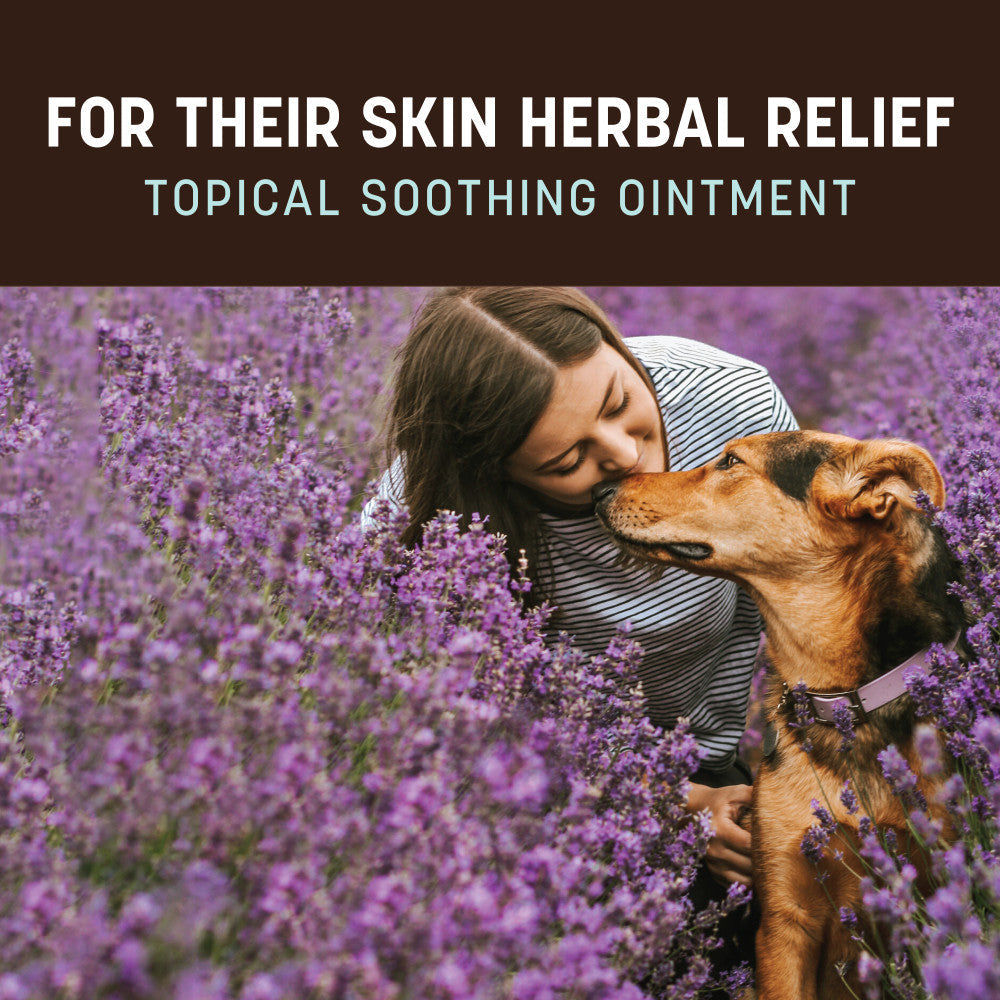 earth-animal-apothecary-soin-peau-chien-chat-60-ml image 2