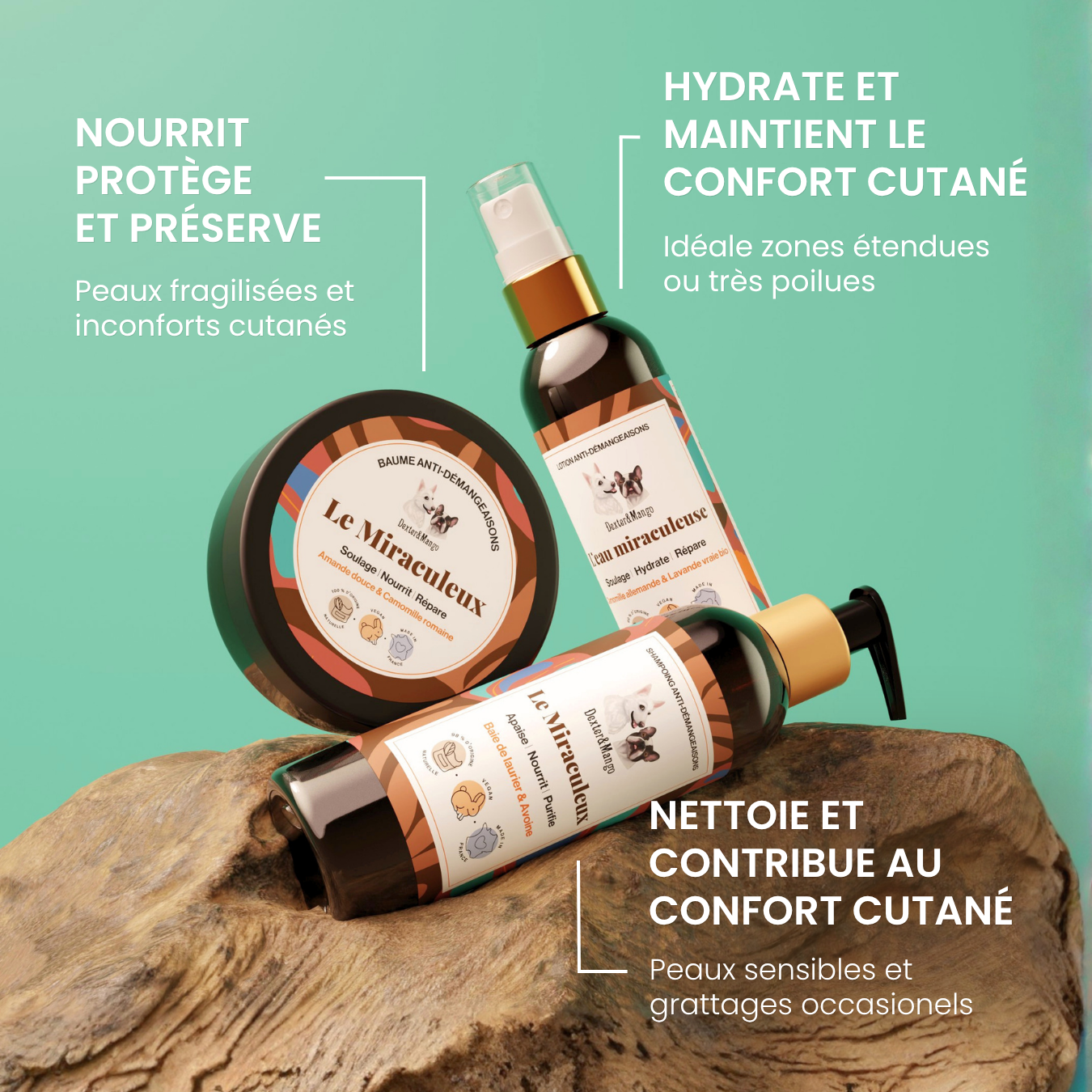 dexter-mango-miraculeux-routine-shampoing-chien-liquide image 2