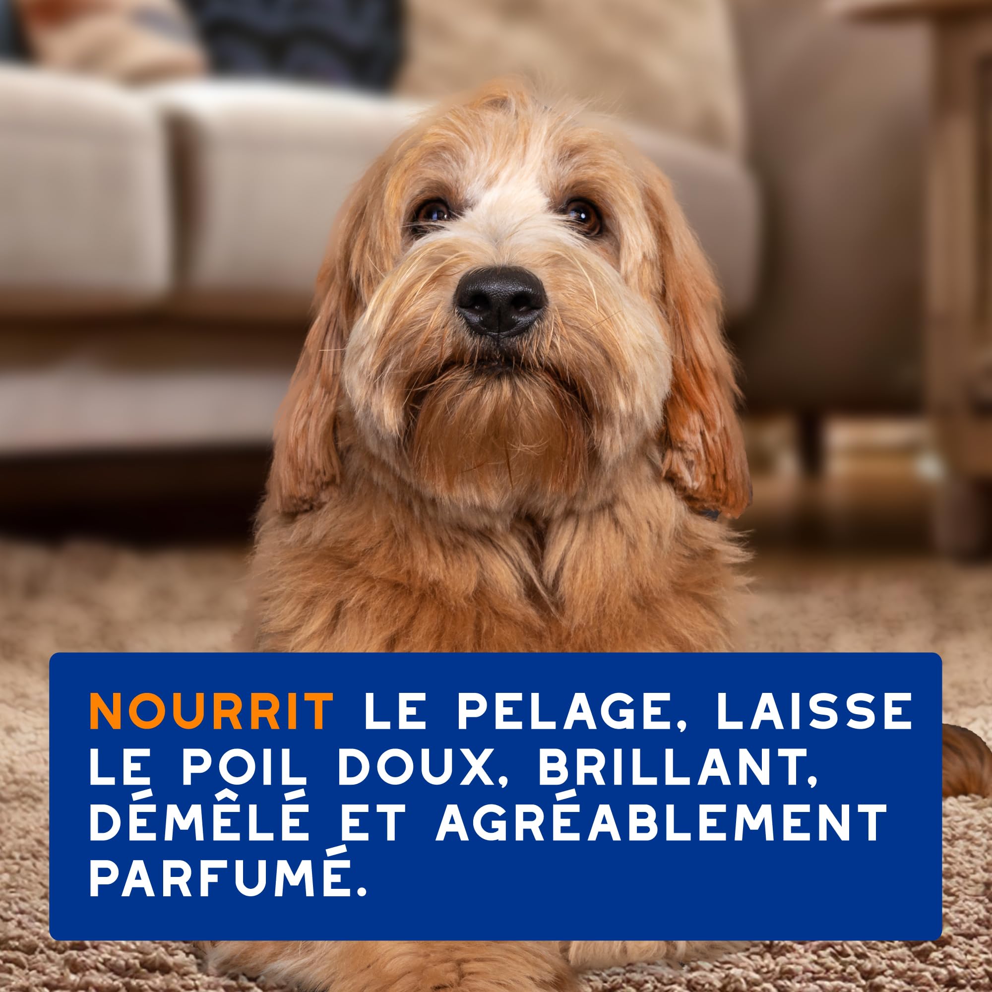 douxo-spa-skin-coat-spray-d-m-lant-chien-amande-douce-anti-n-uds image 7