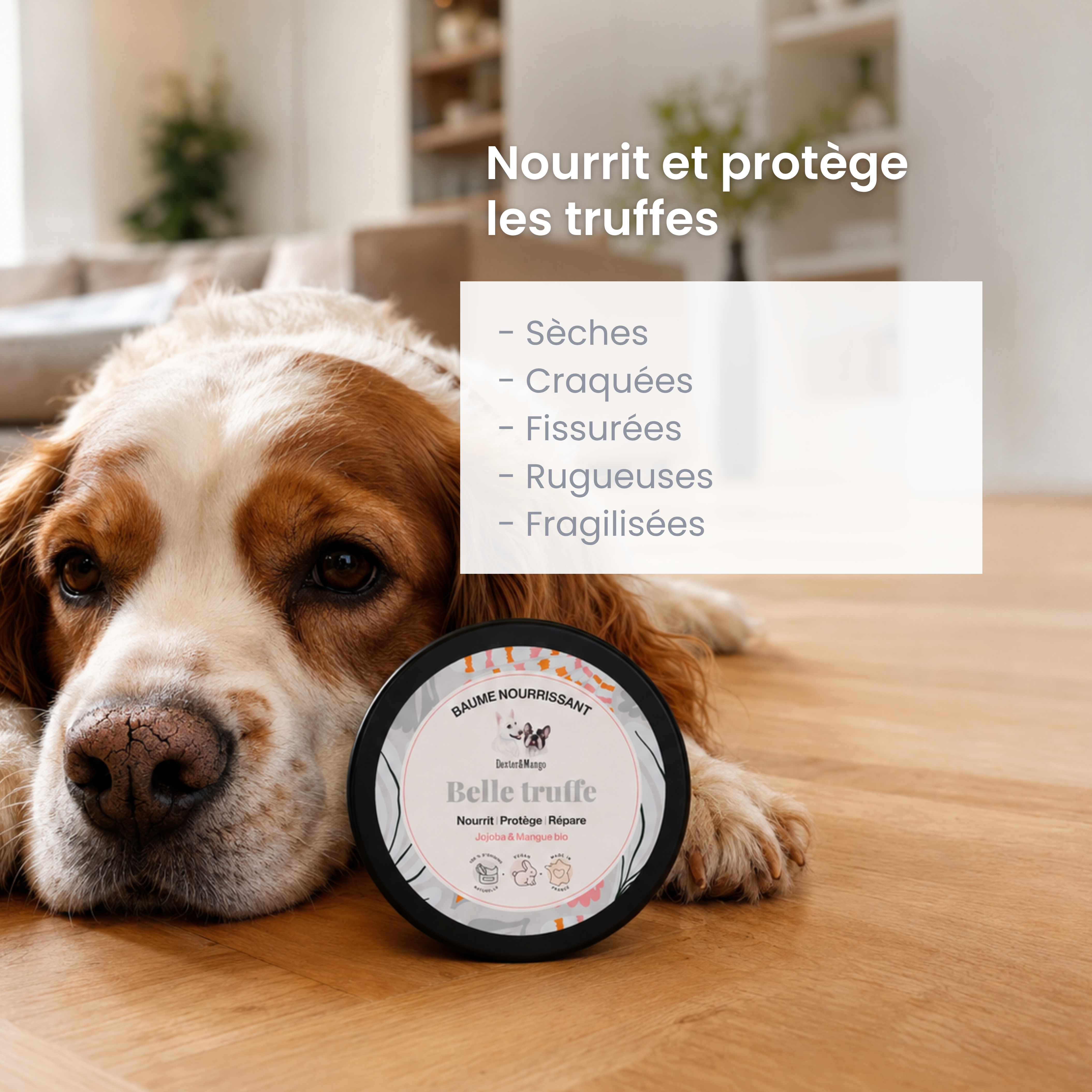 dexter-mango-belle-truffe-baume-truffe-chien-100-naturel image 2