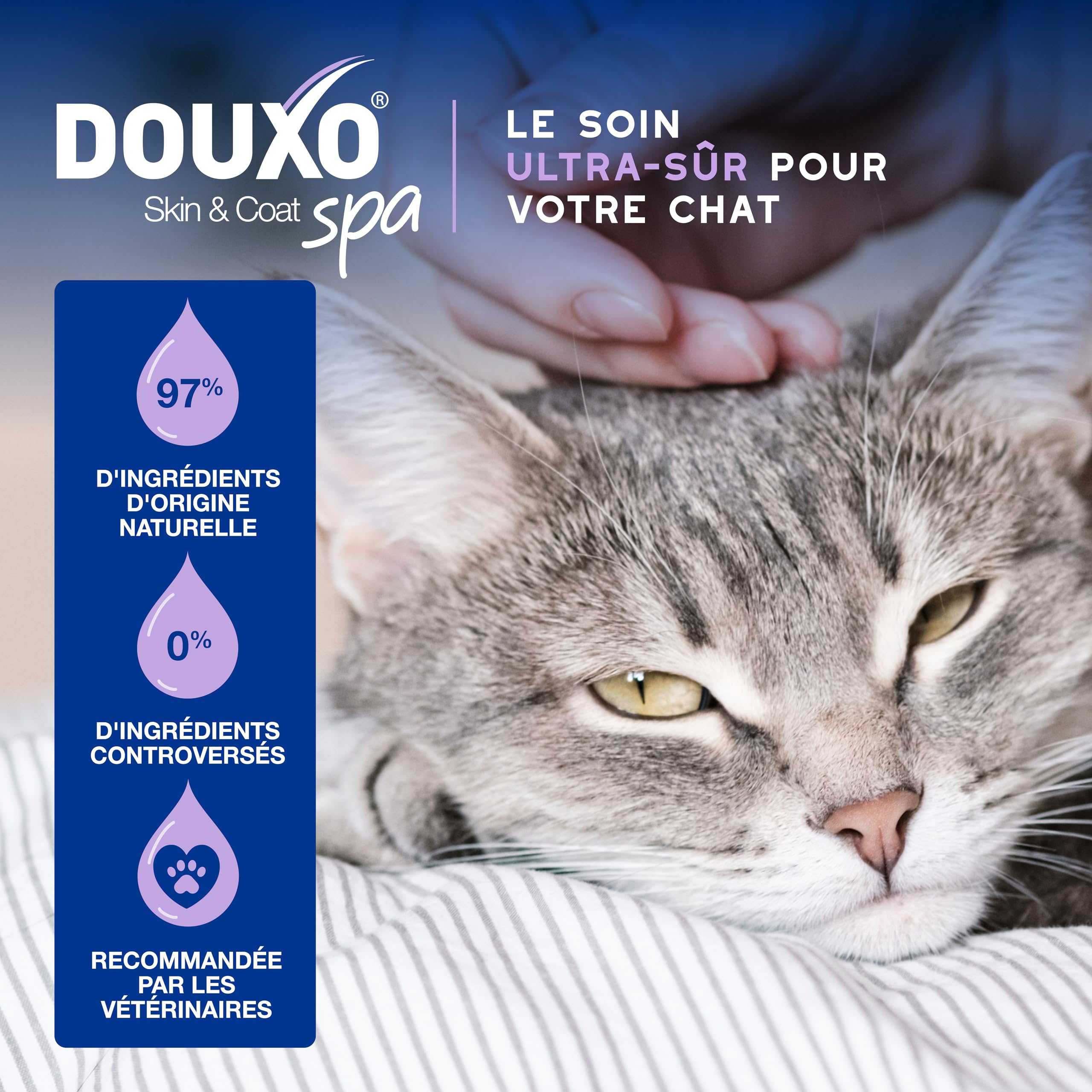 douxo-spa-skin-coat-mousse-sans-rin-age-chat-amande-douce image 4