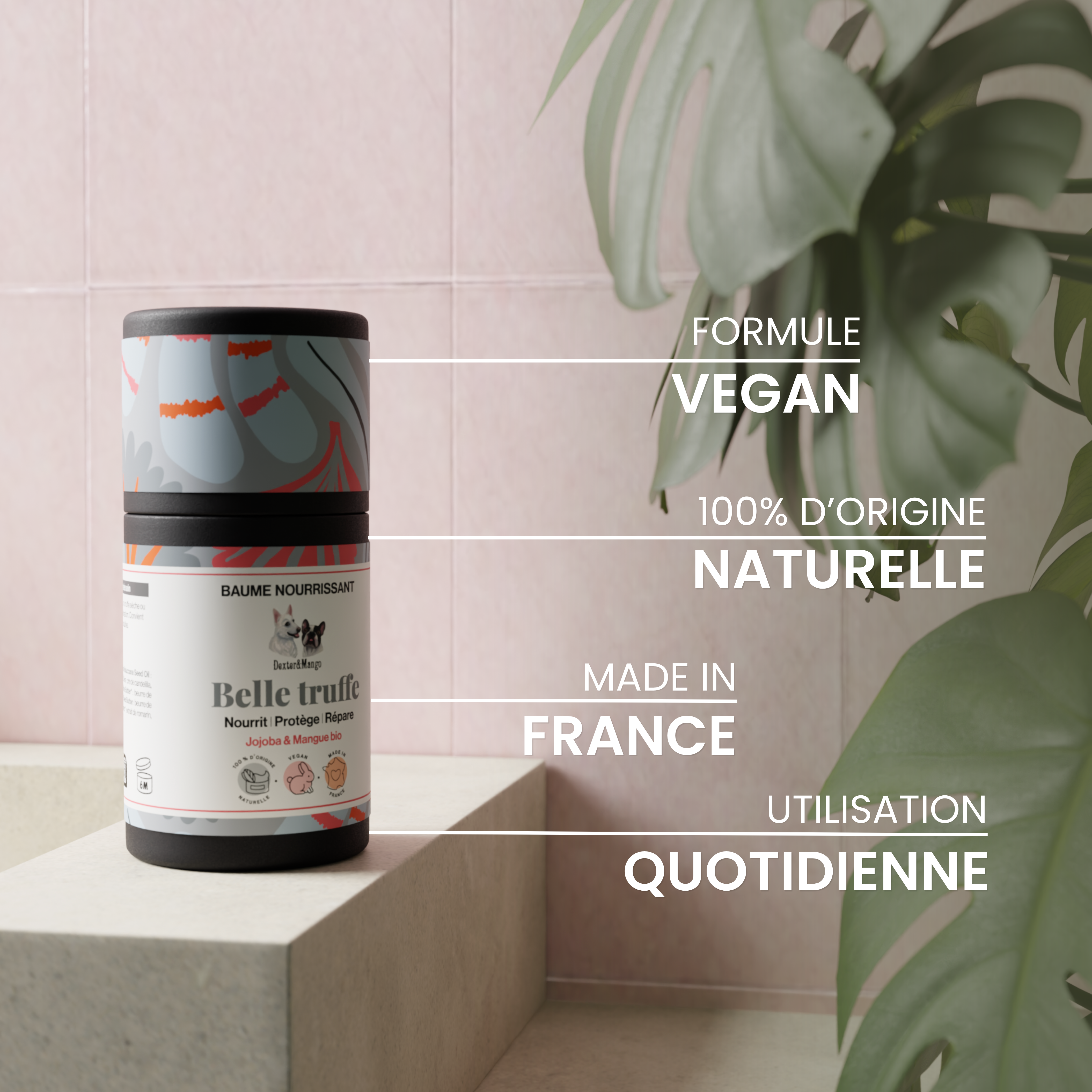 dexter-mango-belle-truffe-baume-stick-truffe-s-che image 5