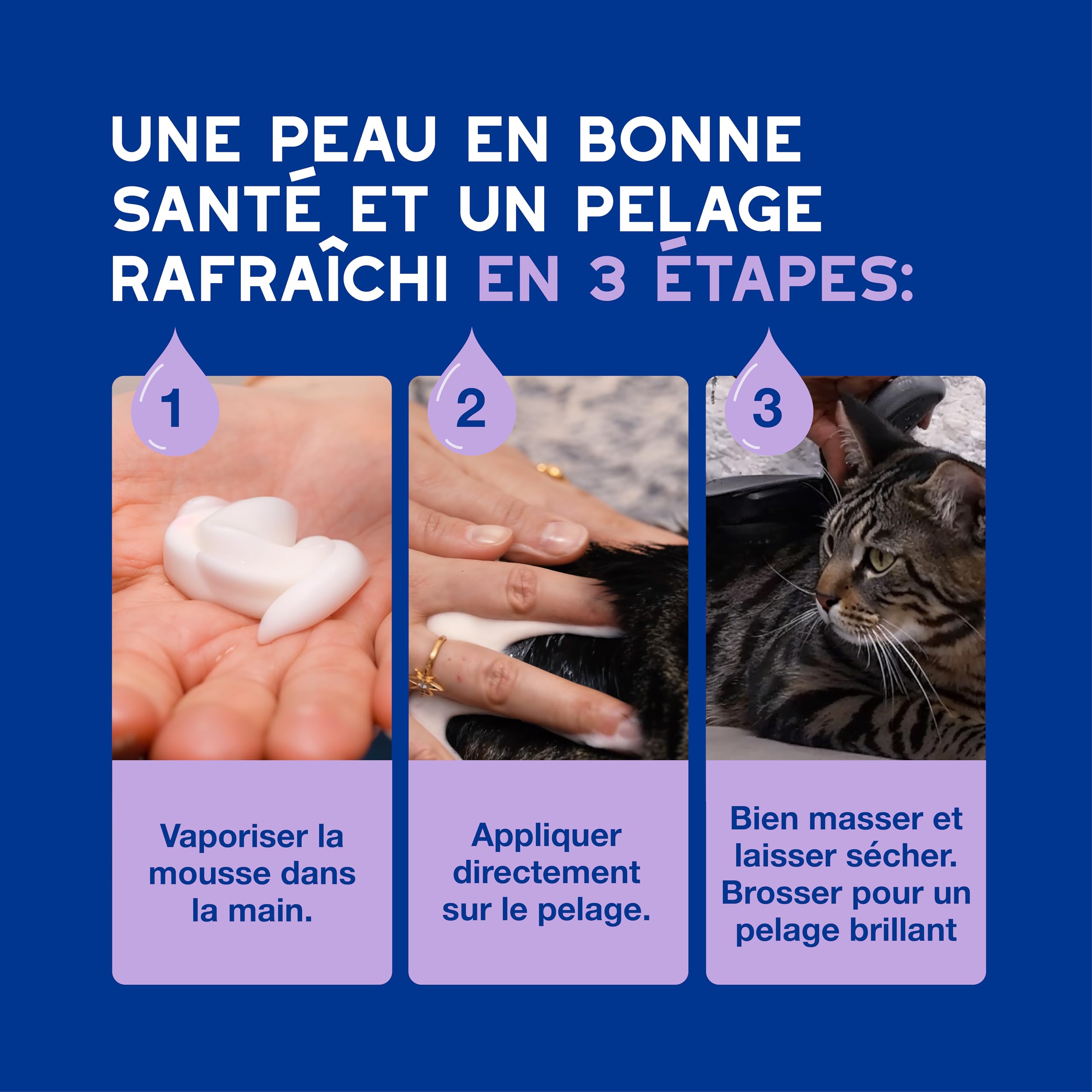 douxo-spa-skin-coat-mousse-sans-rin-age-chat-amande-douce image 6
