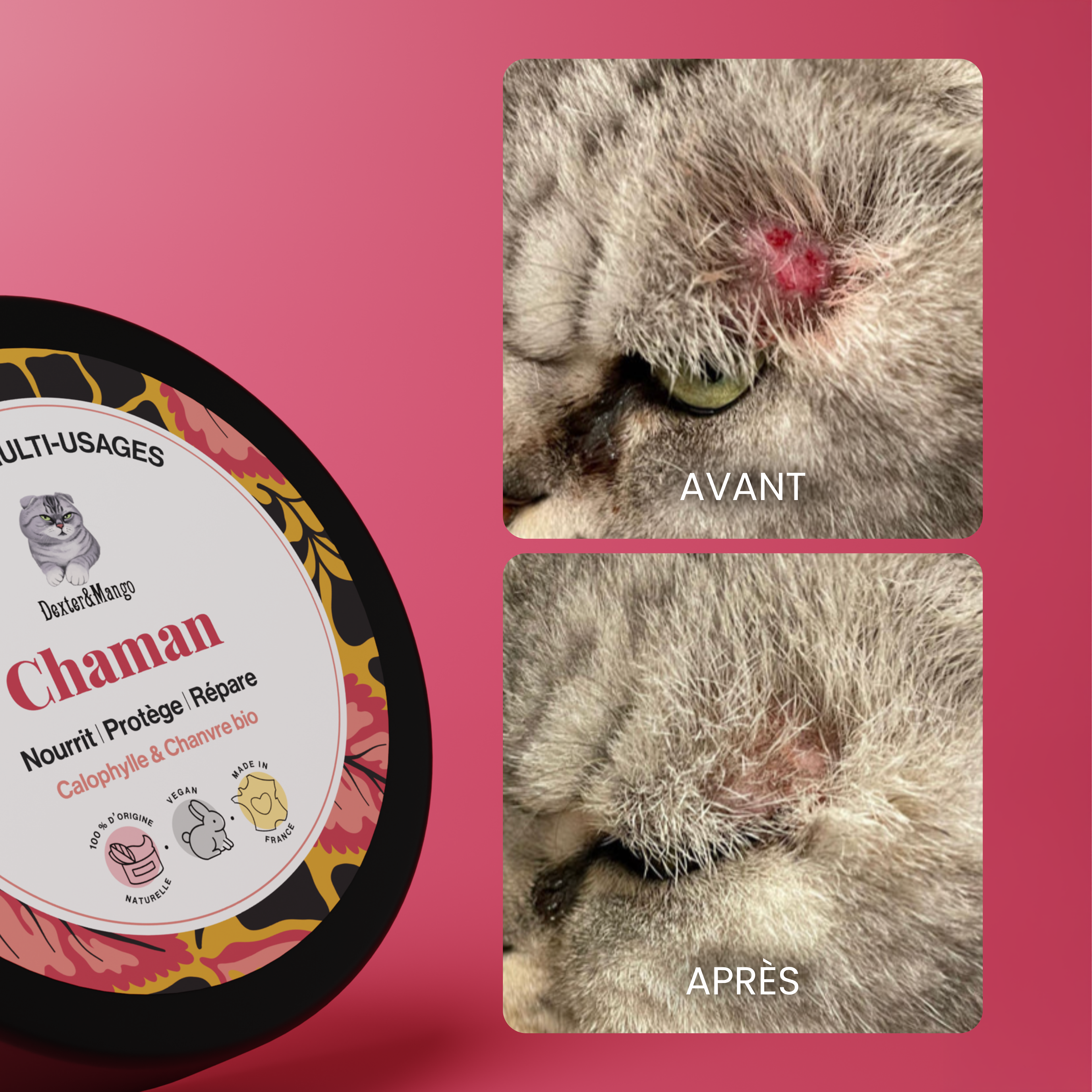 dexter-mango-chaman-baume-chat-naturel-irritations image 6