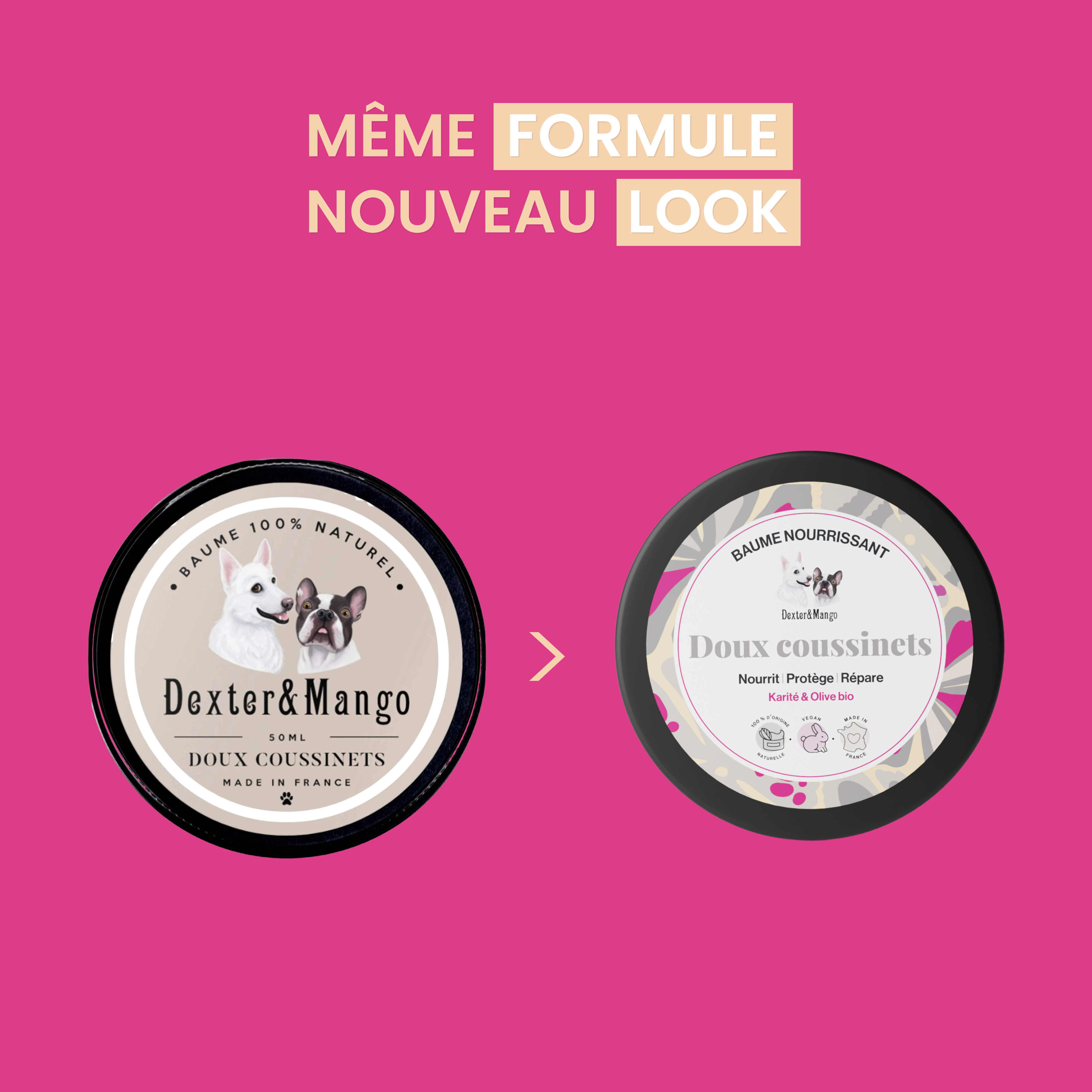 dexter-mango-doux-coussinets-baume-pattes-chien-naturel image 8