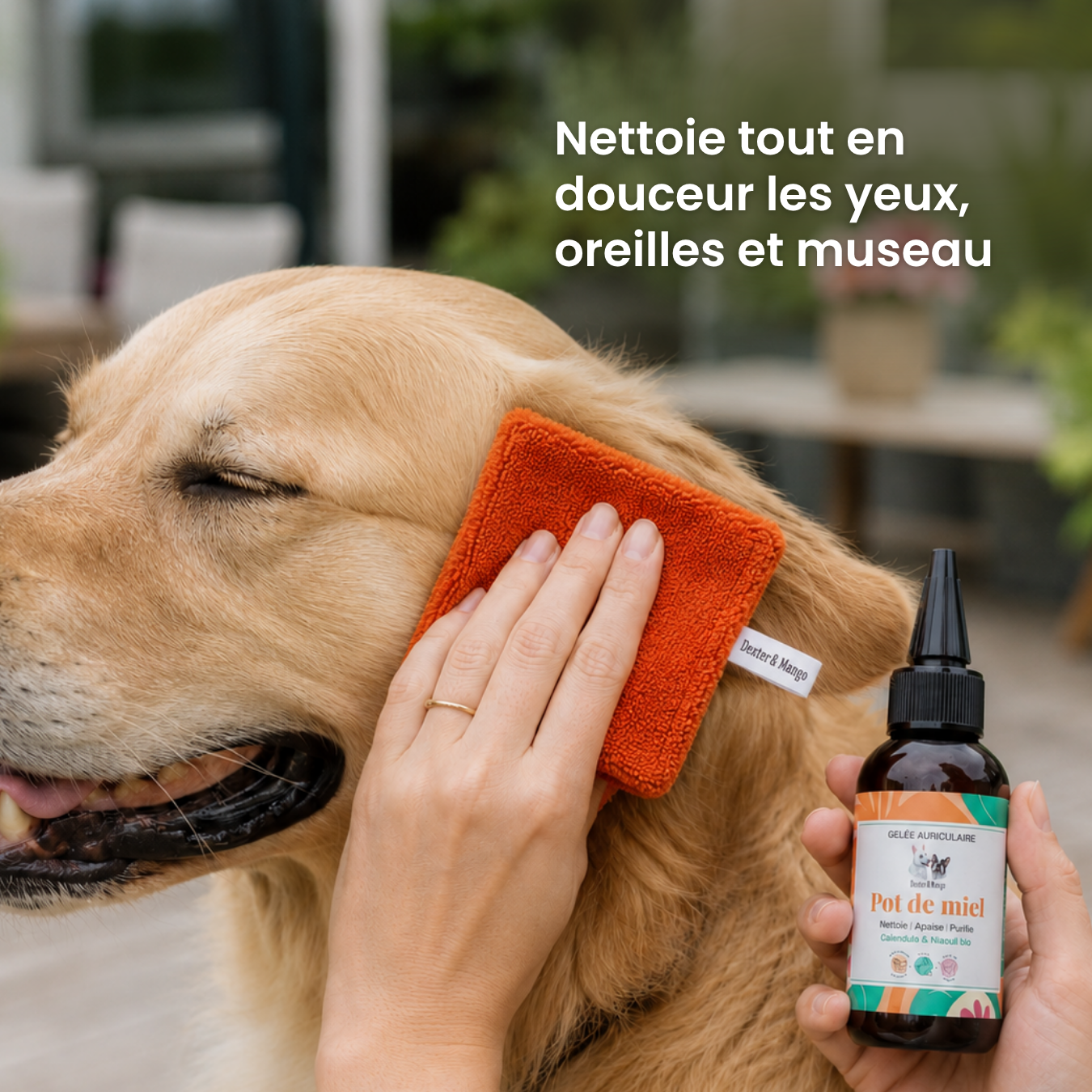 dexter-mango-lingettes-lavables-terracotta-soin-chien image 2