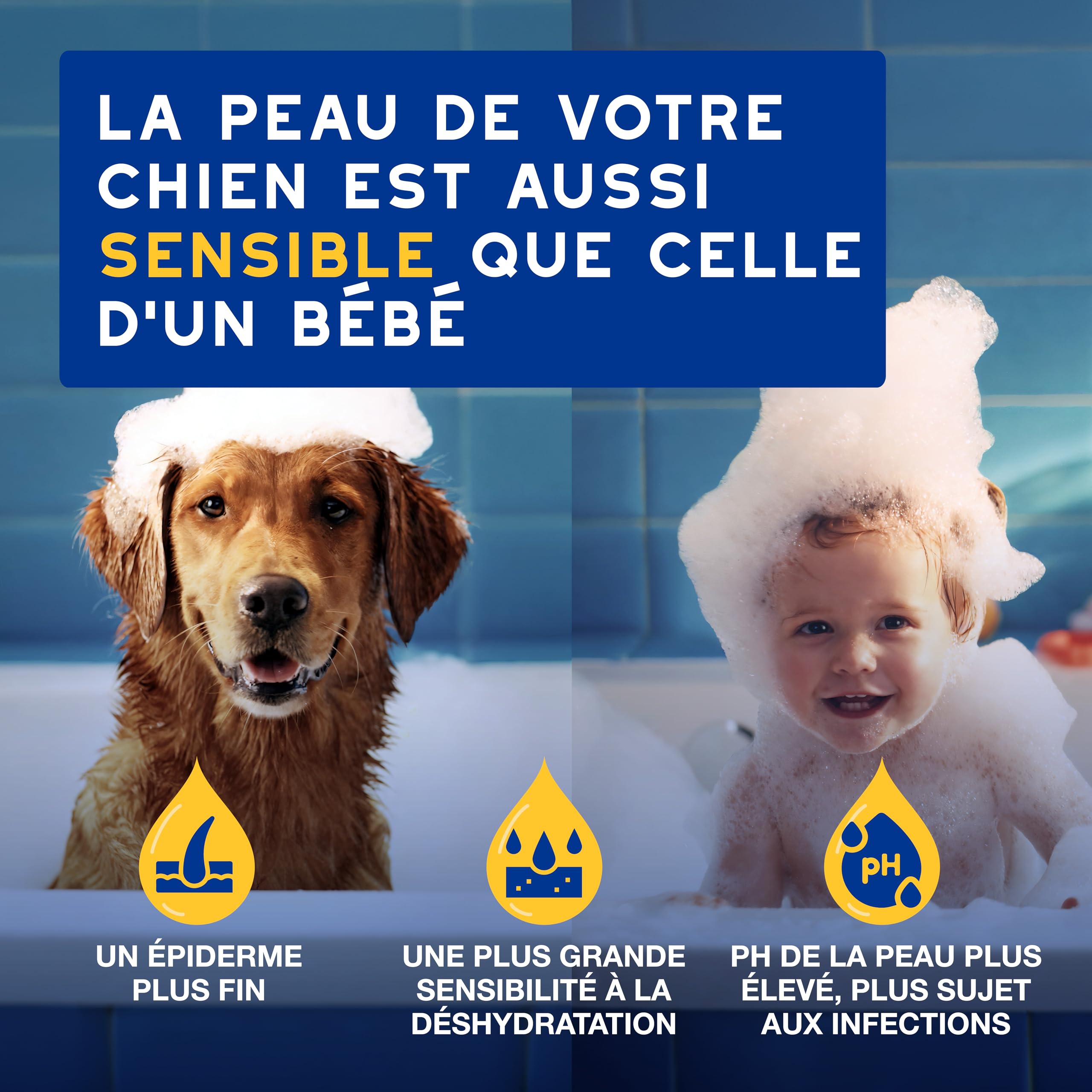 douxo-spa-skin-coat-spa-shampoing-chien-hydratant-avoine image 3