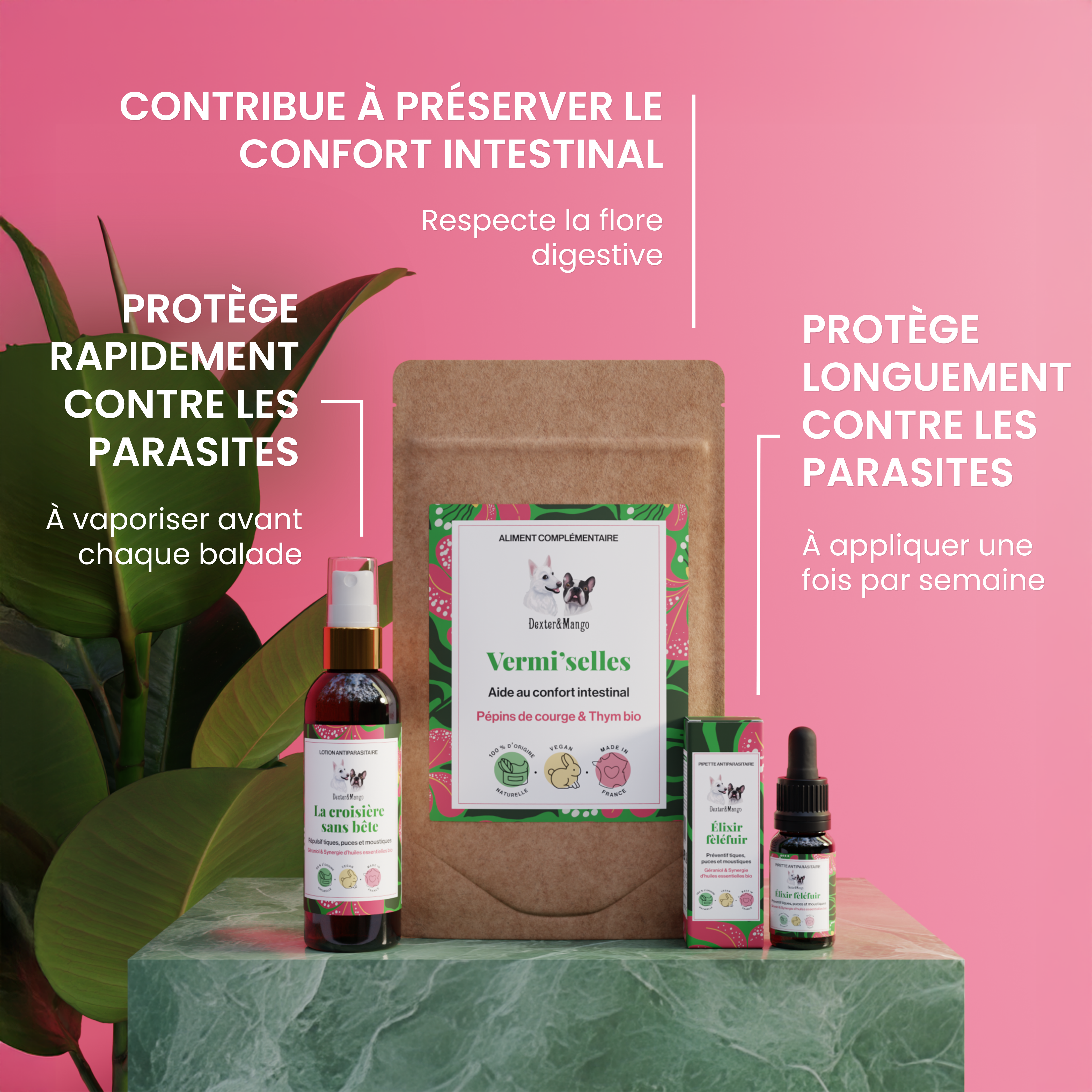dexter-mango-routine-antiparasitaire-naturelle-chien image 2