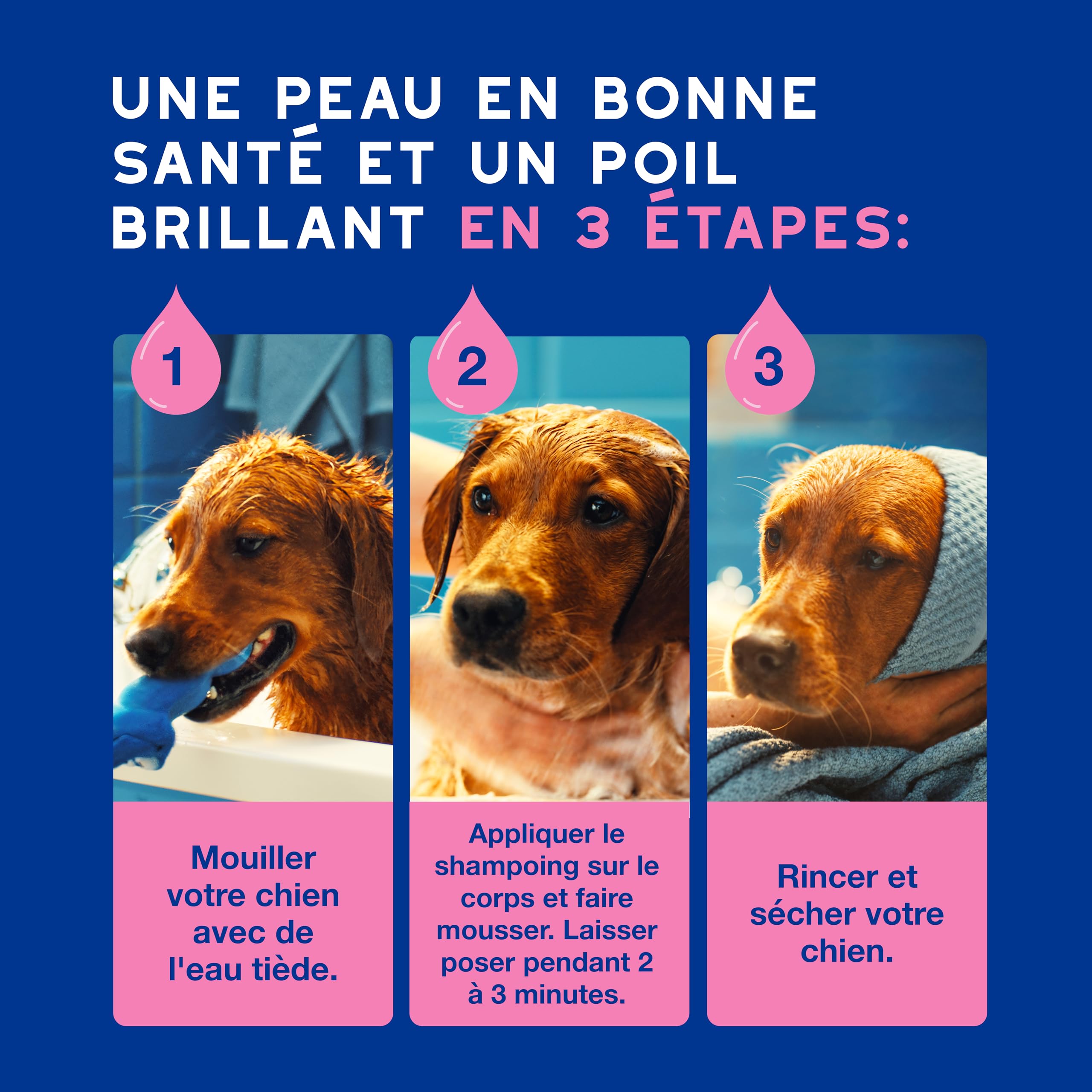 douxo-skin-coat-spa-shampoing-chien-anti-d-mangeaisons-fumeterre image 6