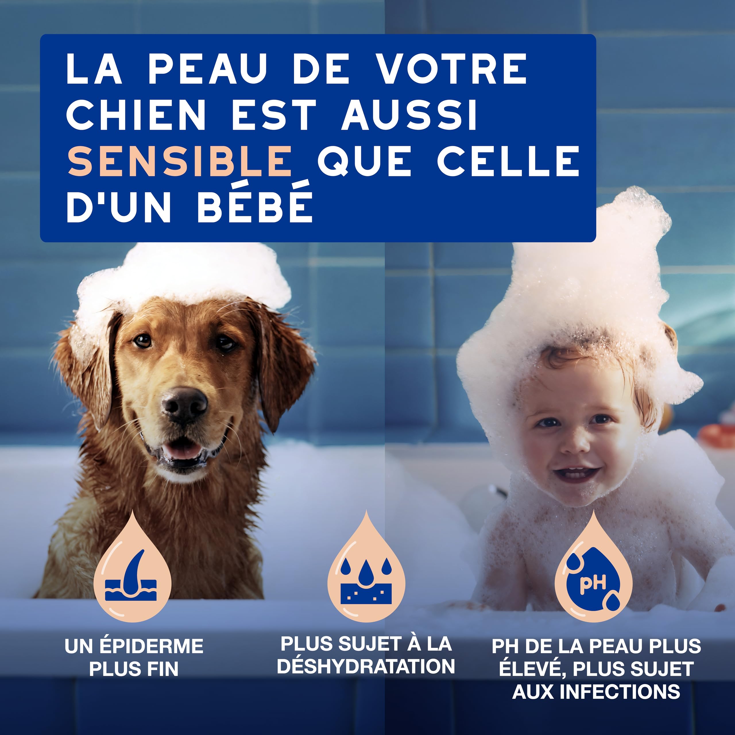 douxo-spa-skin-coat-shampoing-chien-anti-chute-poils image 3
