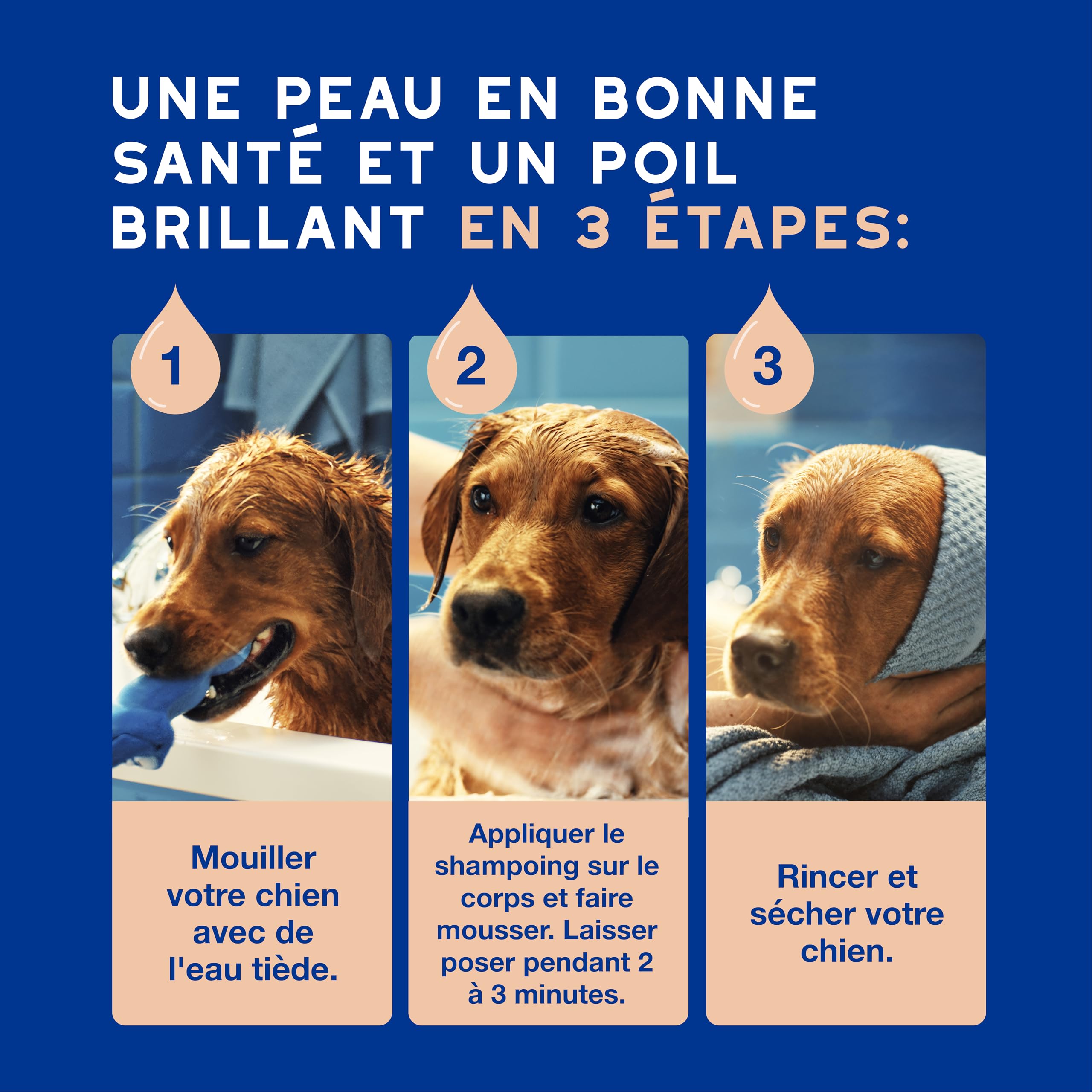 douxo-spa-skin-coat-shampoing-chien-anti-chute-poils image 6