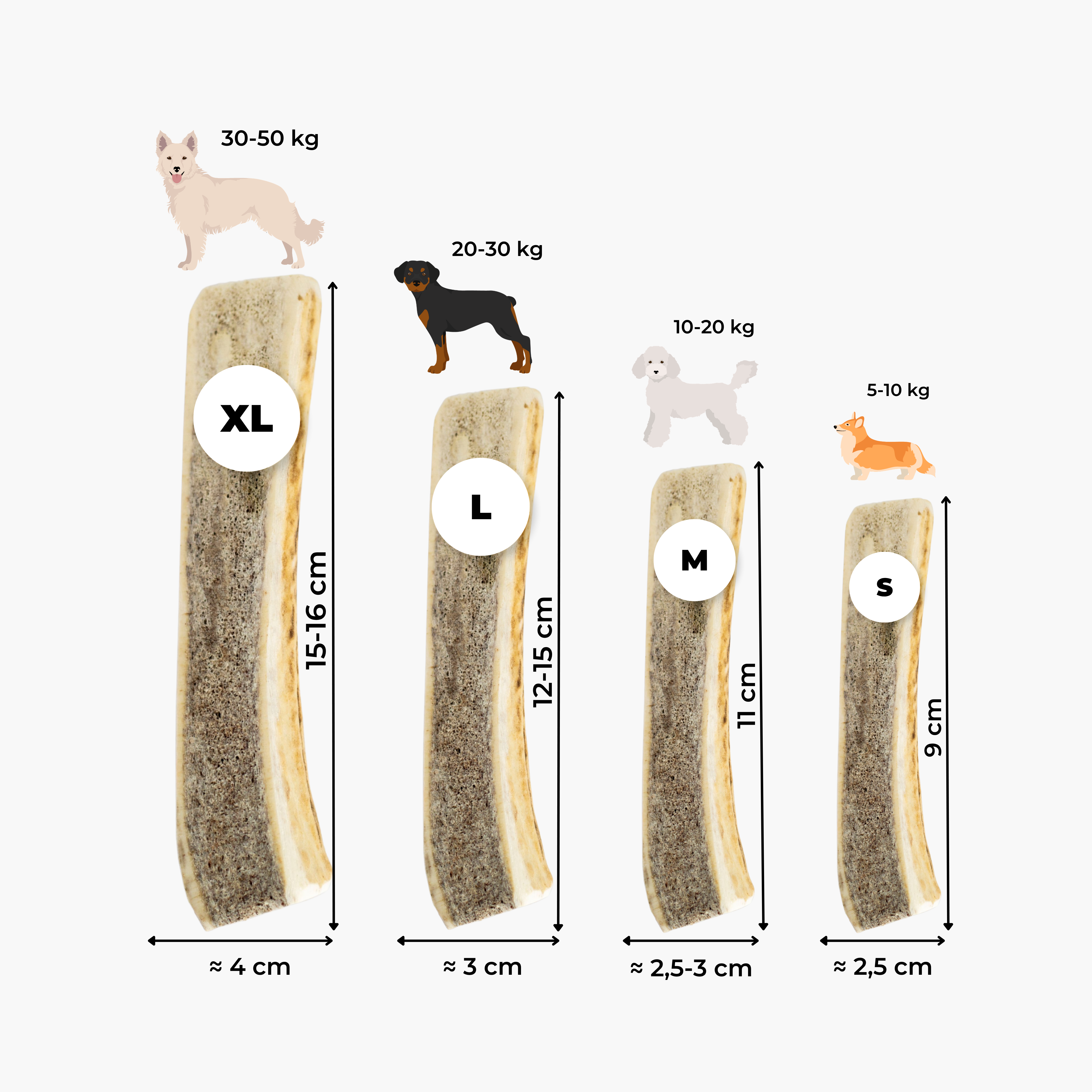 dexter-mango-bois-de-cerf-tranch-friandise-chien image 4